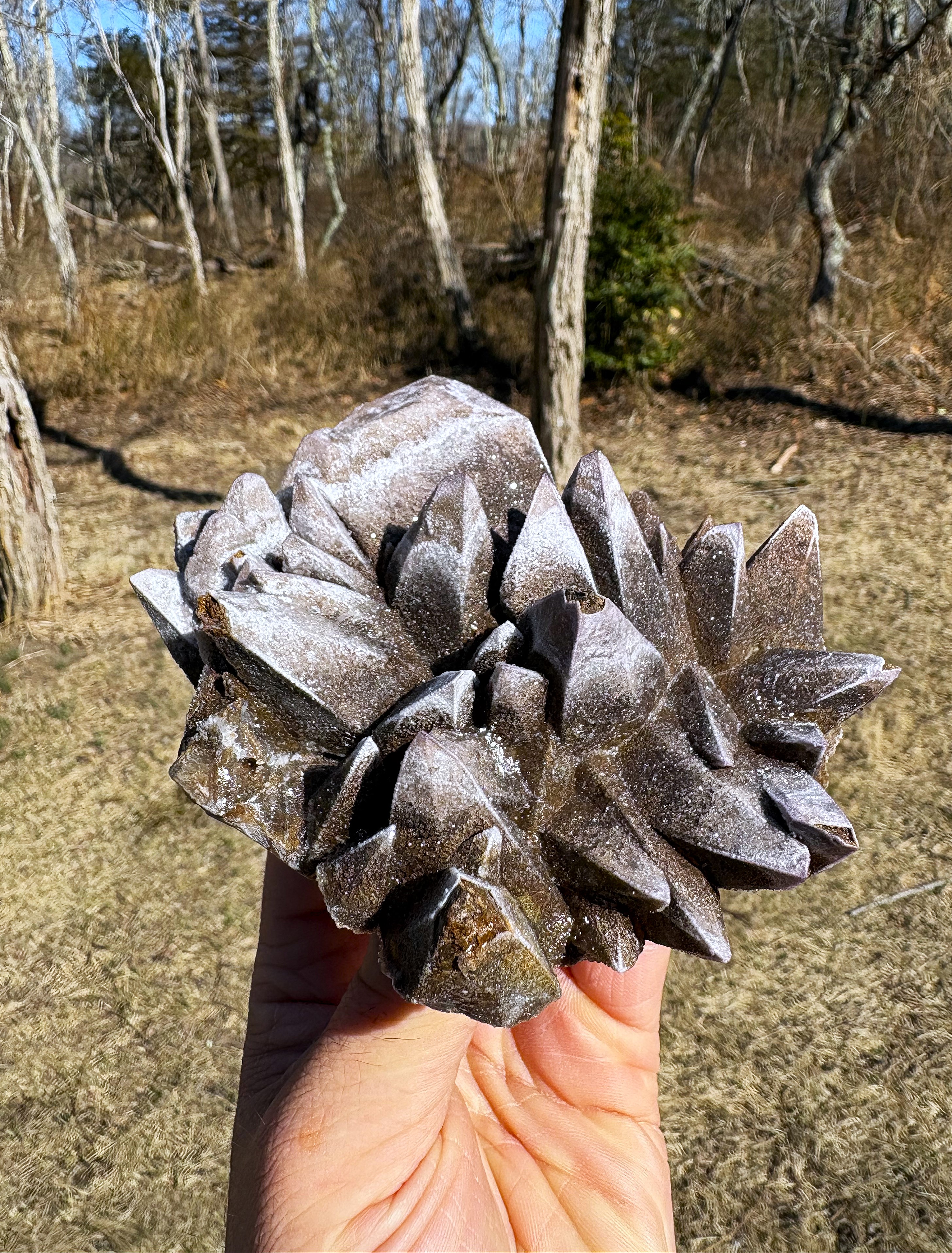 Chocolate Dog-Tooth Calcite & Yttrium Fluorite