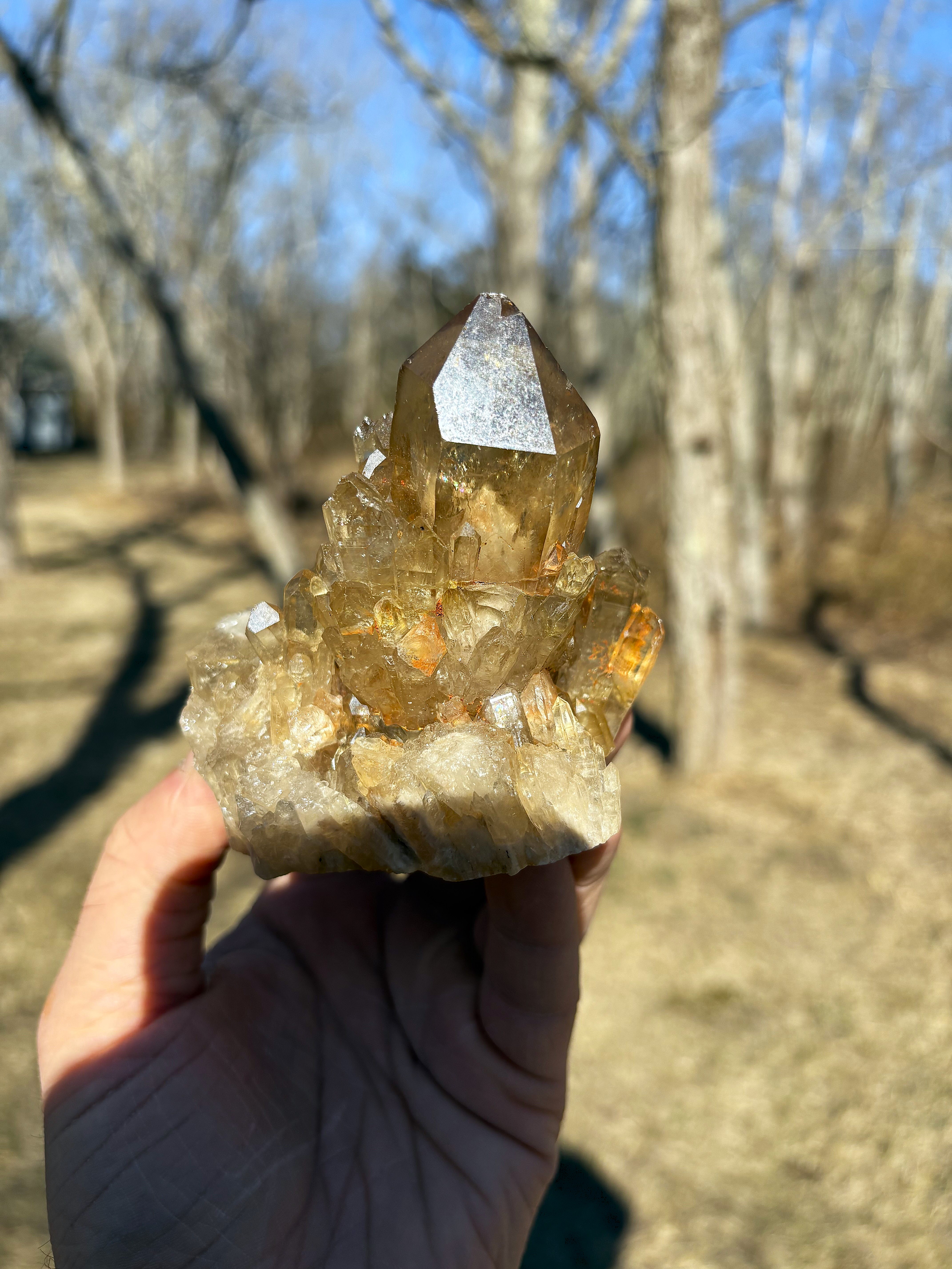 Kundalini Citrine