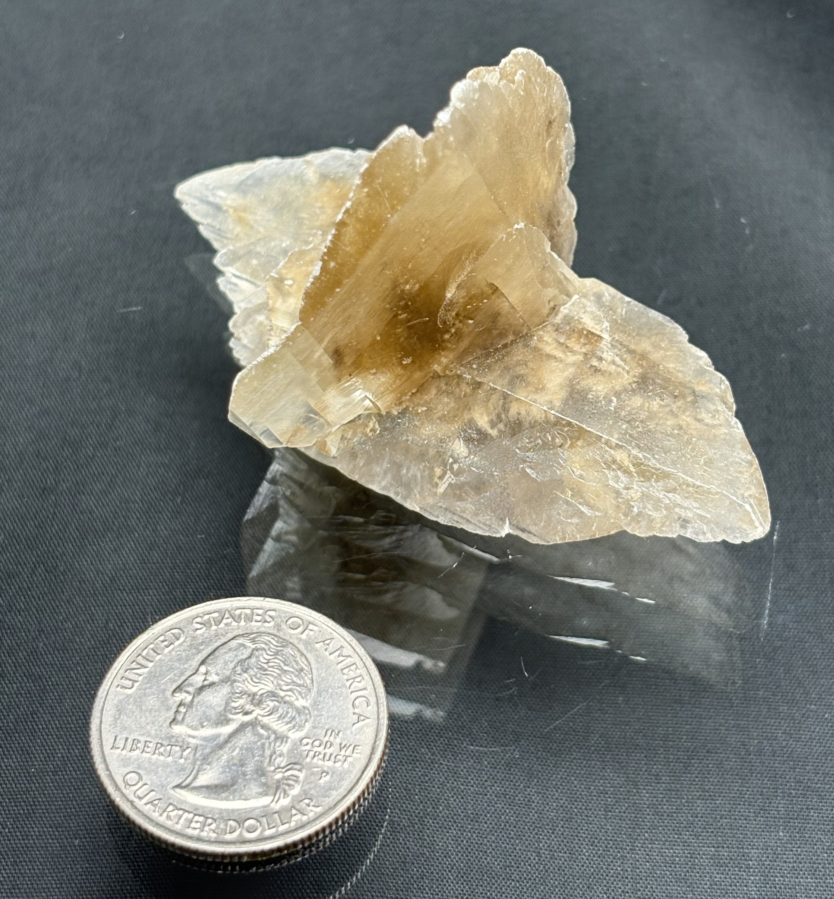 Desert Selenite 