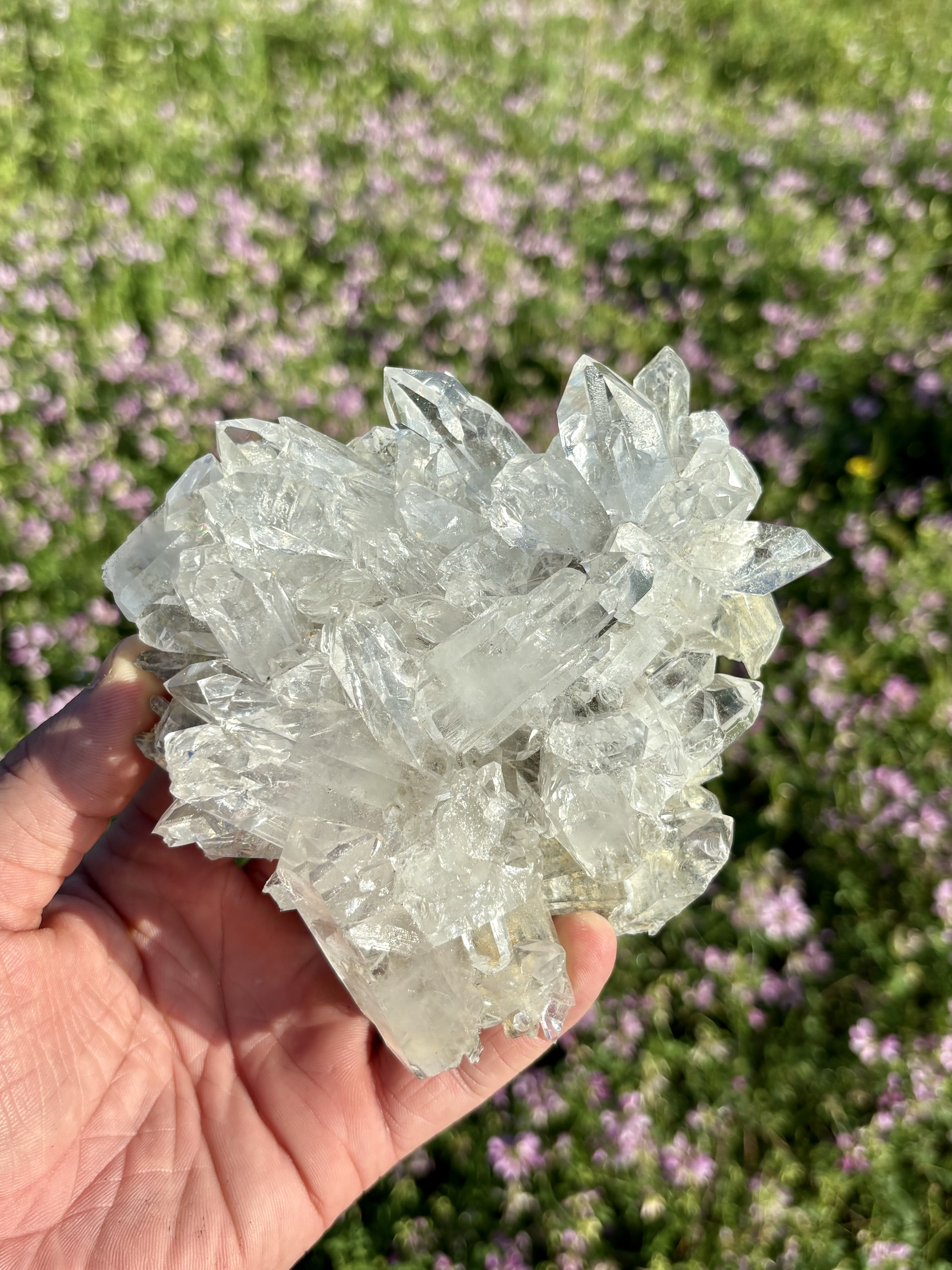 Clear Quartz Cluster 