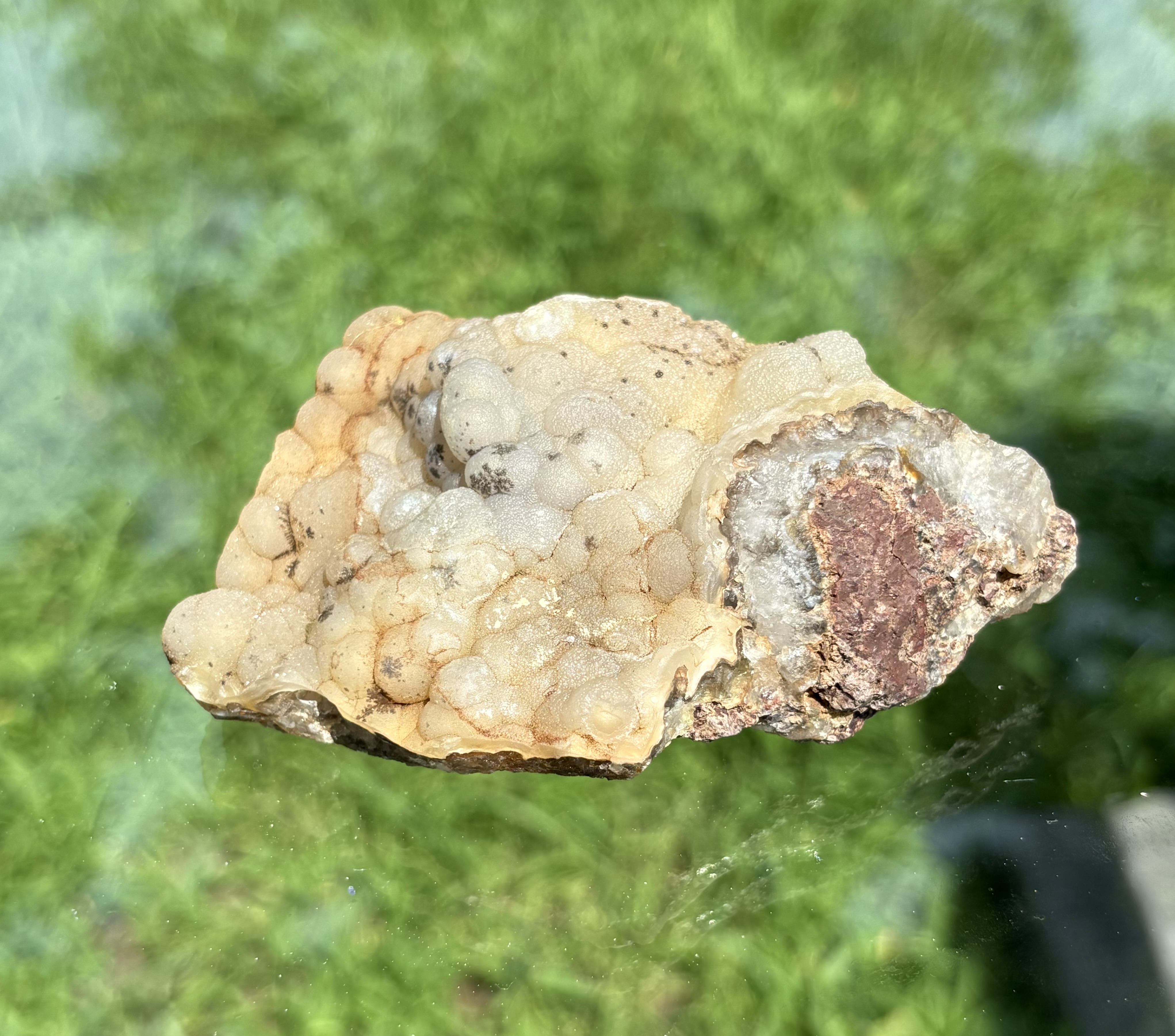 Botryoidal Dendritic Chalcedony