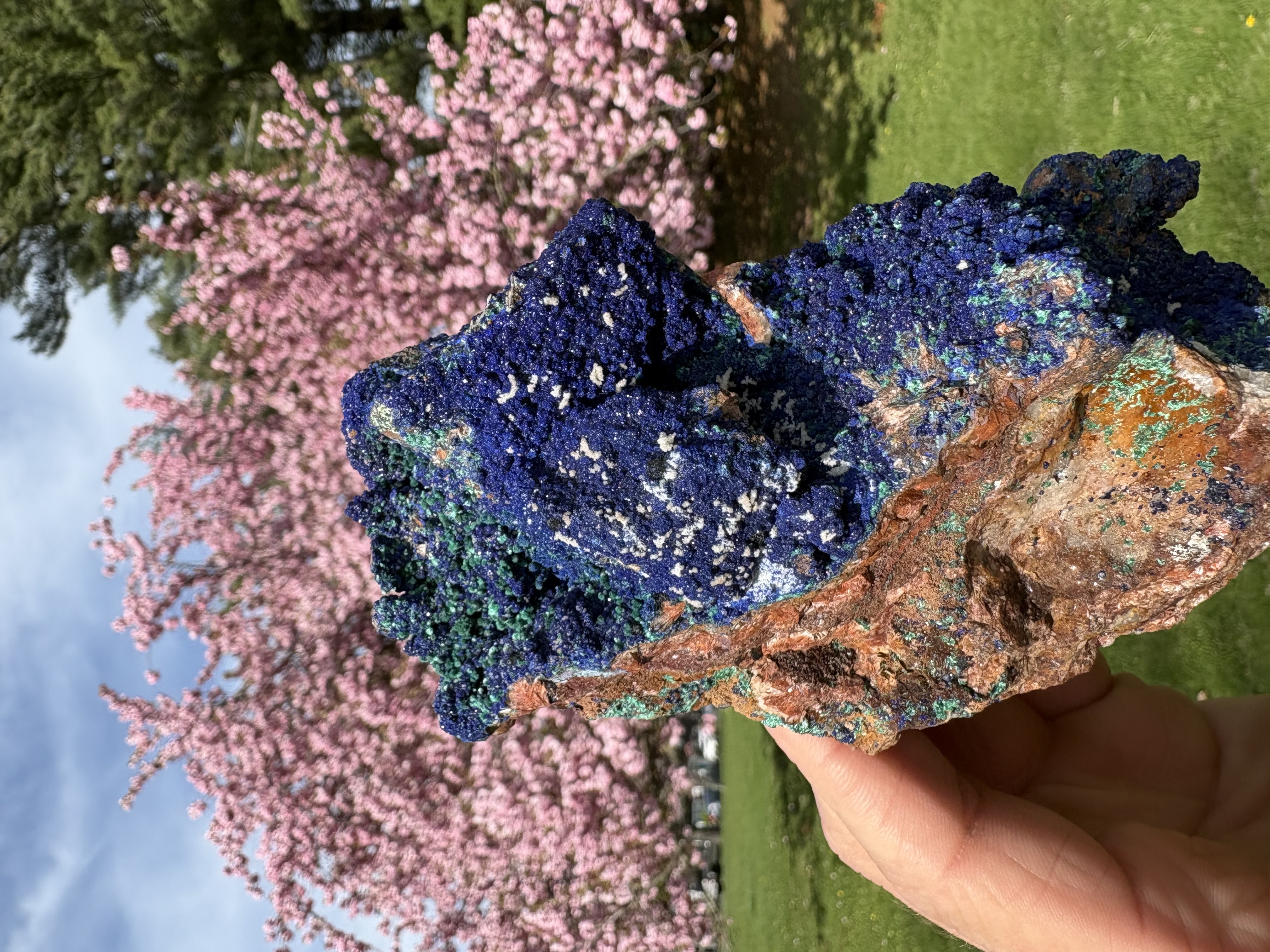 Azurite Mineral Specimen