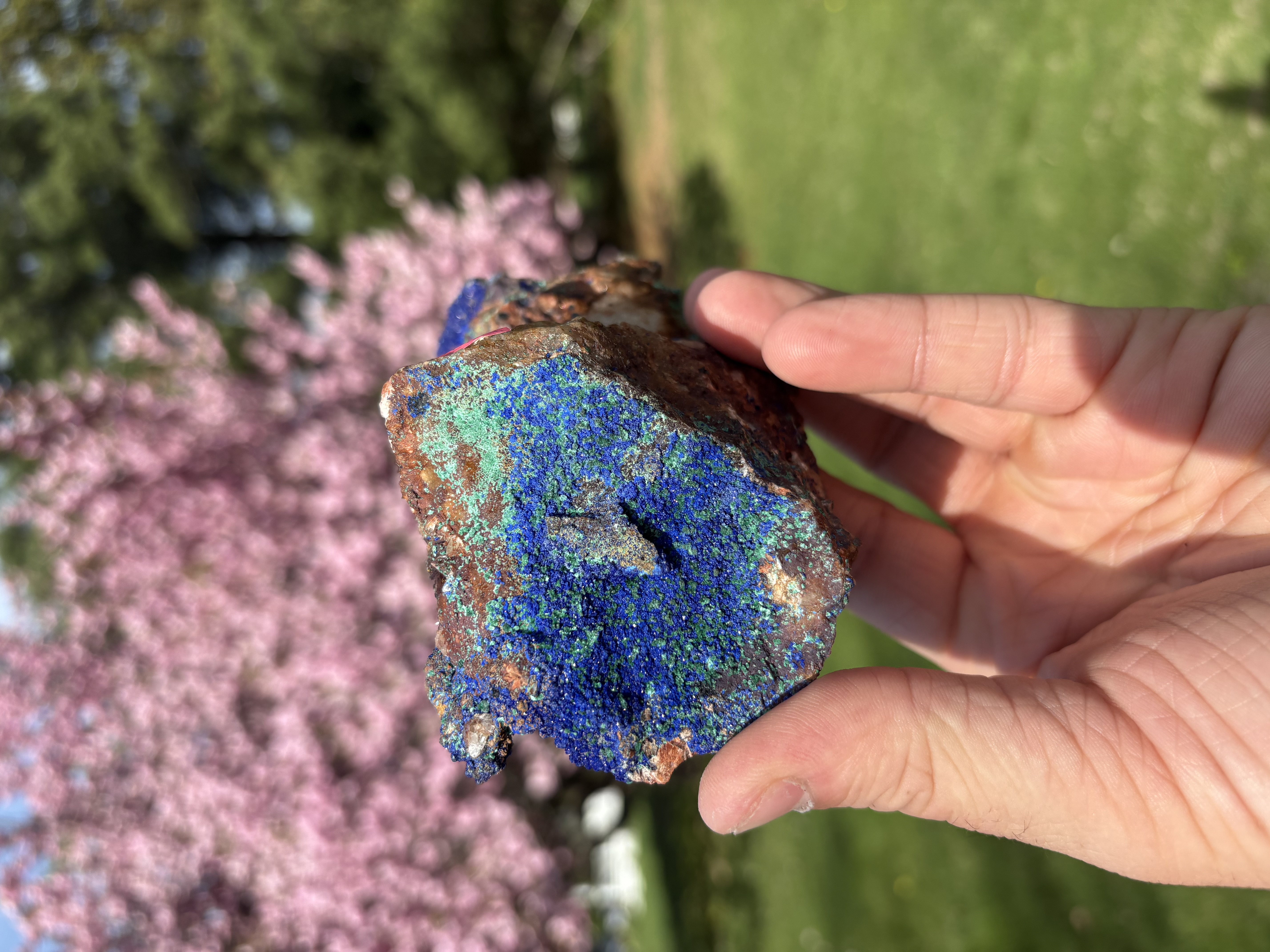 Azurite Mineral Specimen