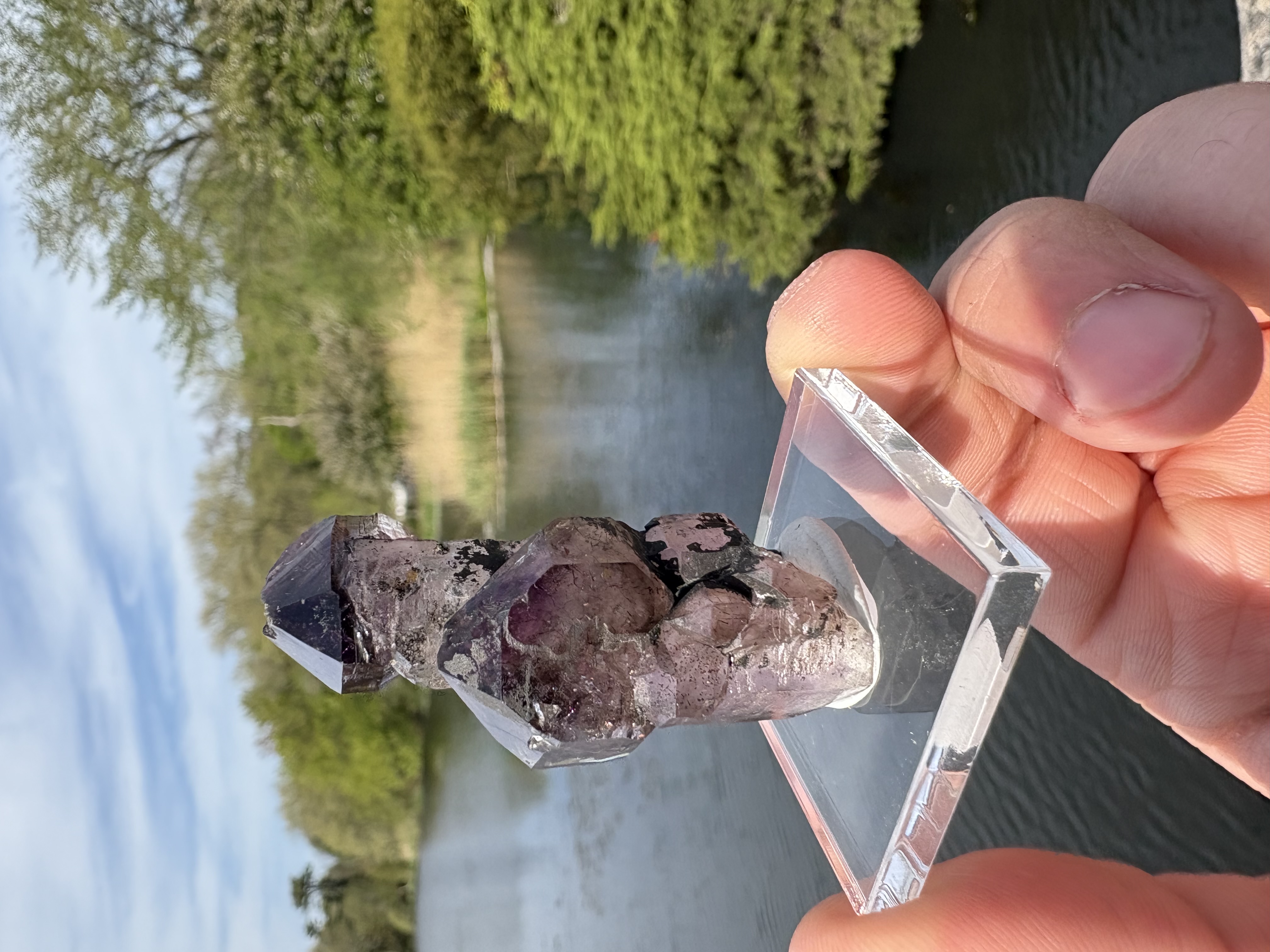 Lepidocrocite included Amethyst Septer