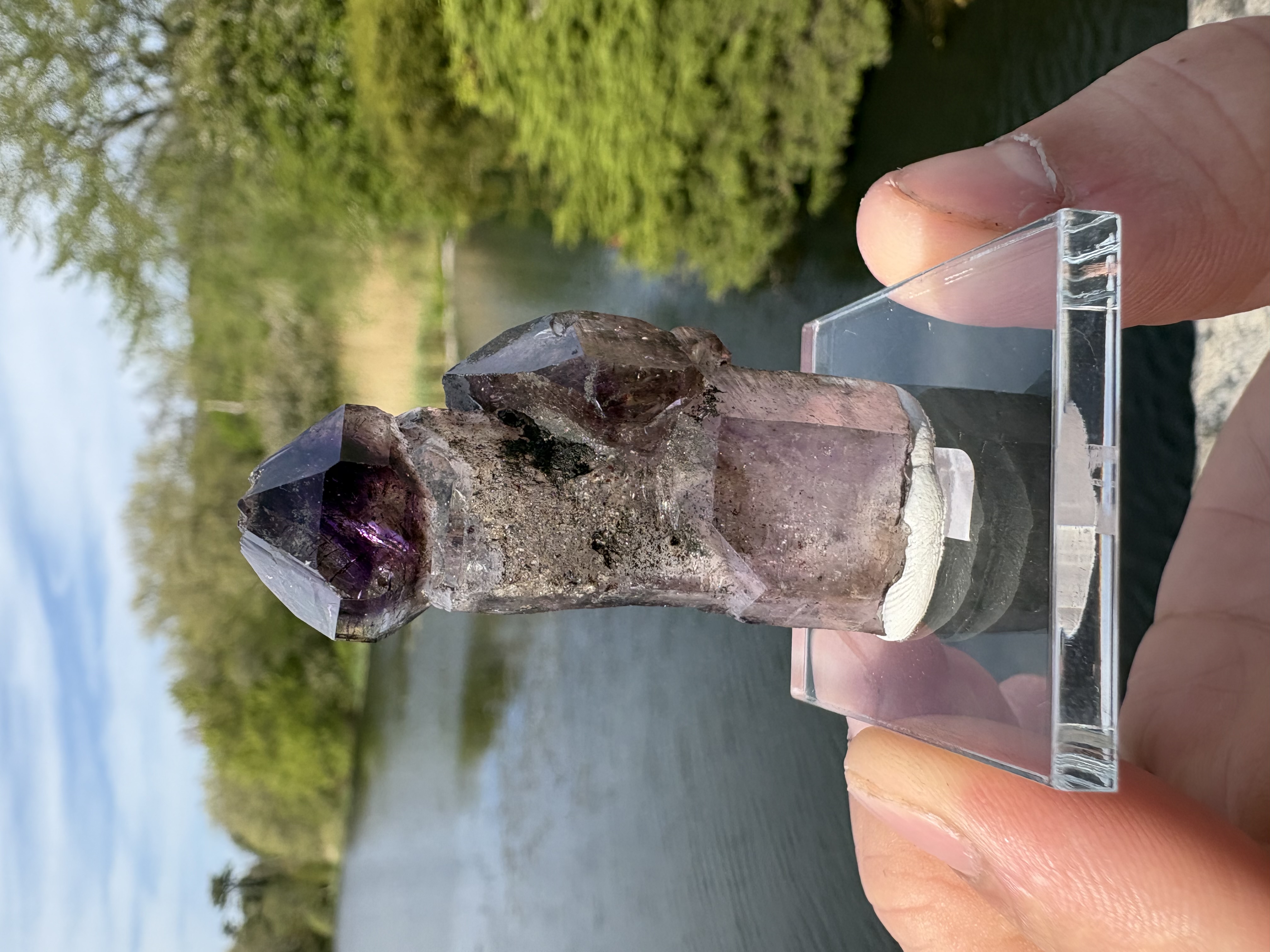 Lepidocrocite included Amethyst Septer