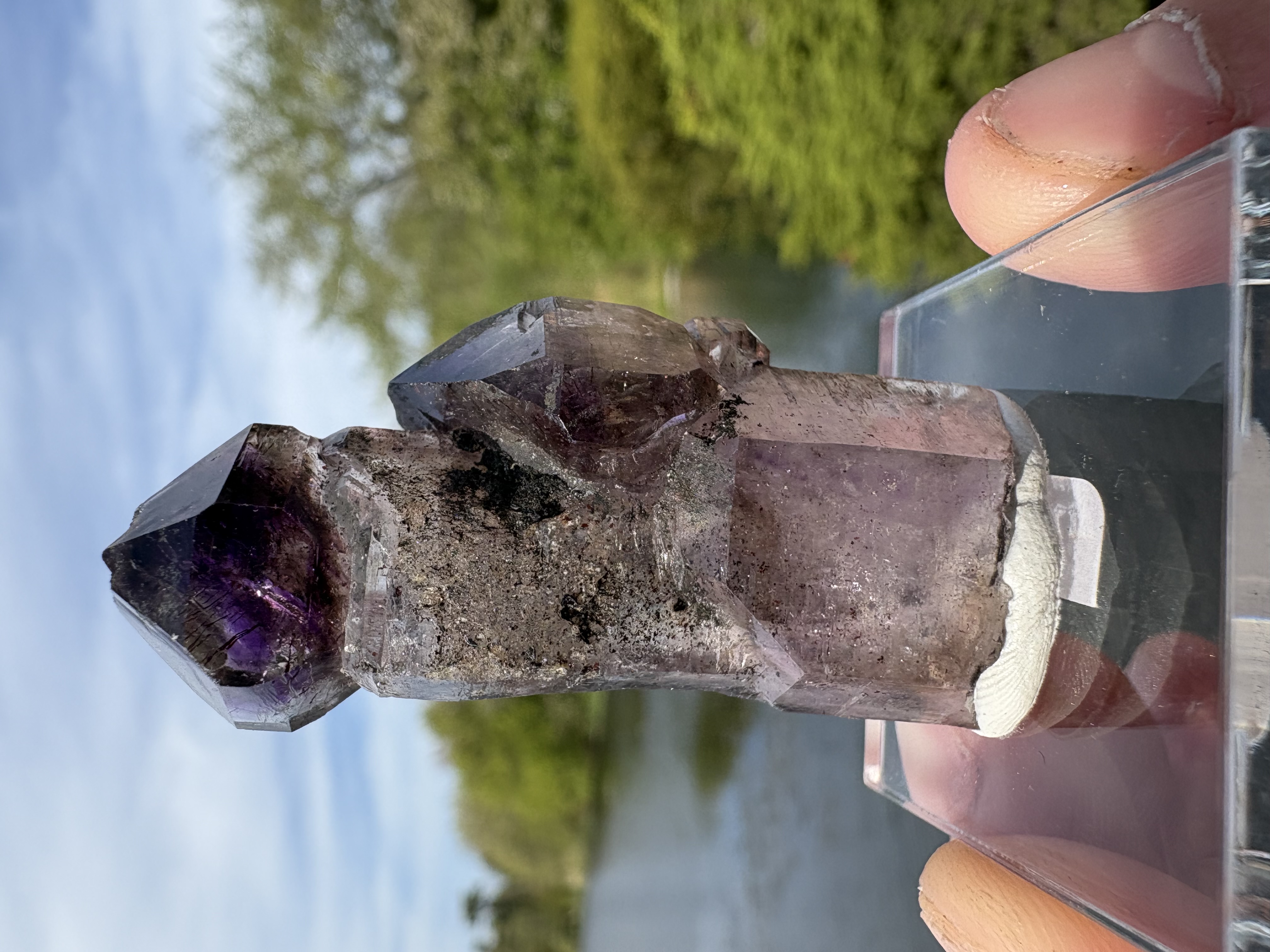 Lepidocrocite included Amethyst Septer