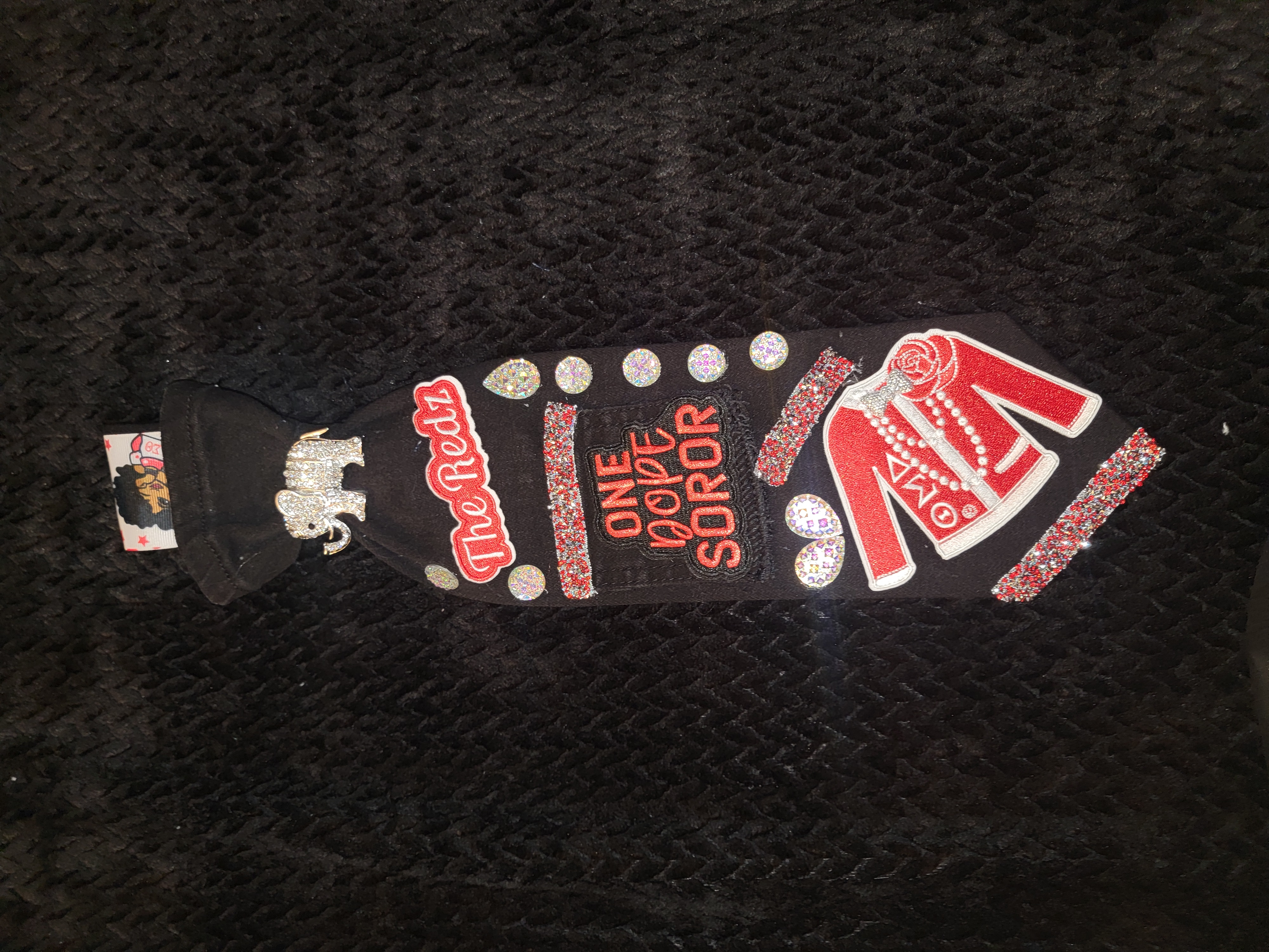 Delta sigma theta tie 1