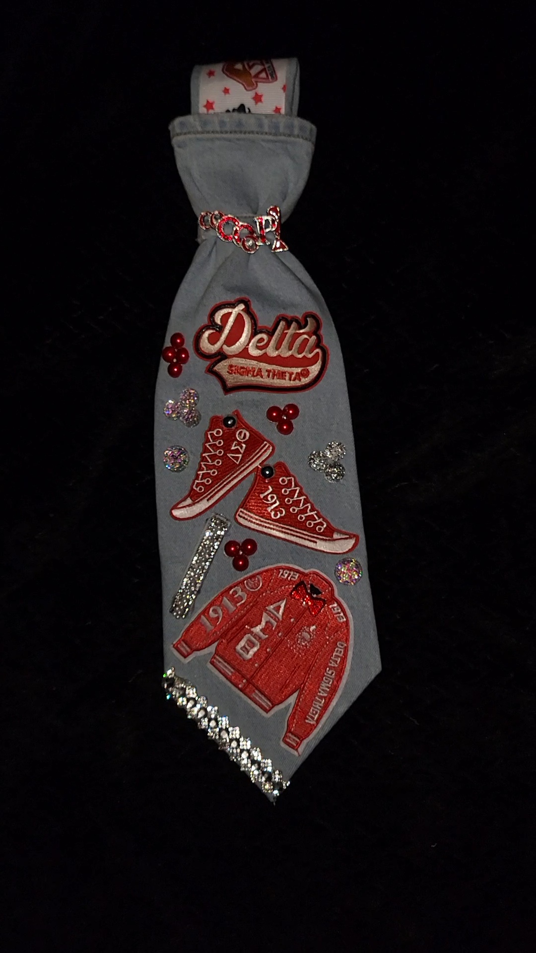 Delta Sigma Theta tie (red jacket) 