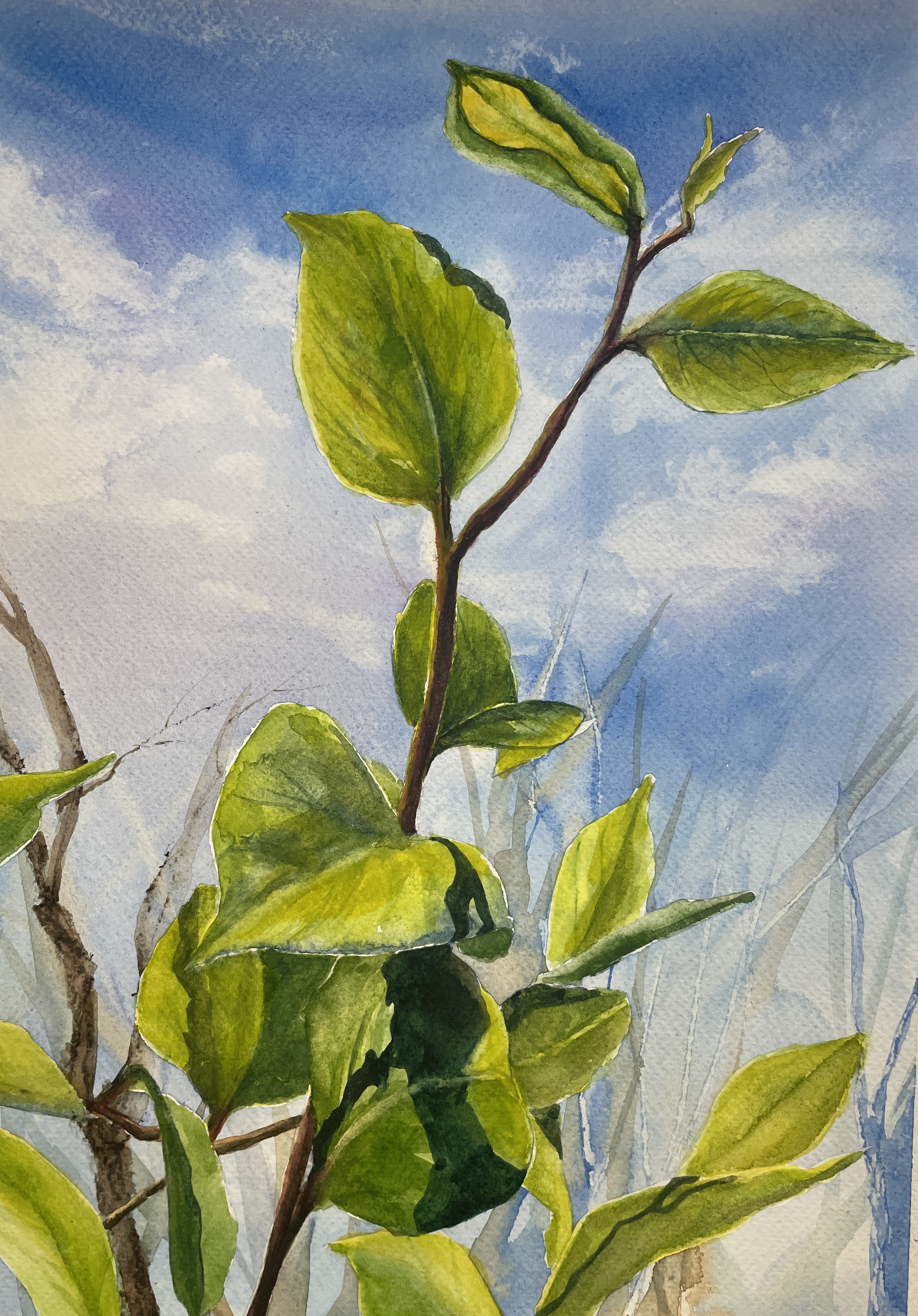 Original Botanical Watercolor Painting