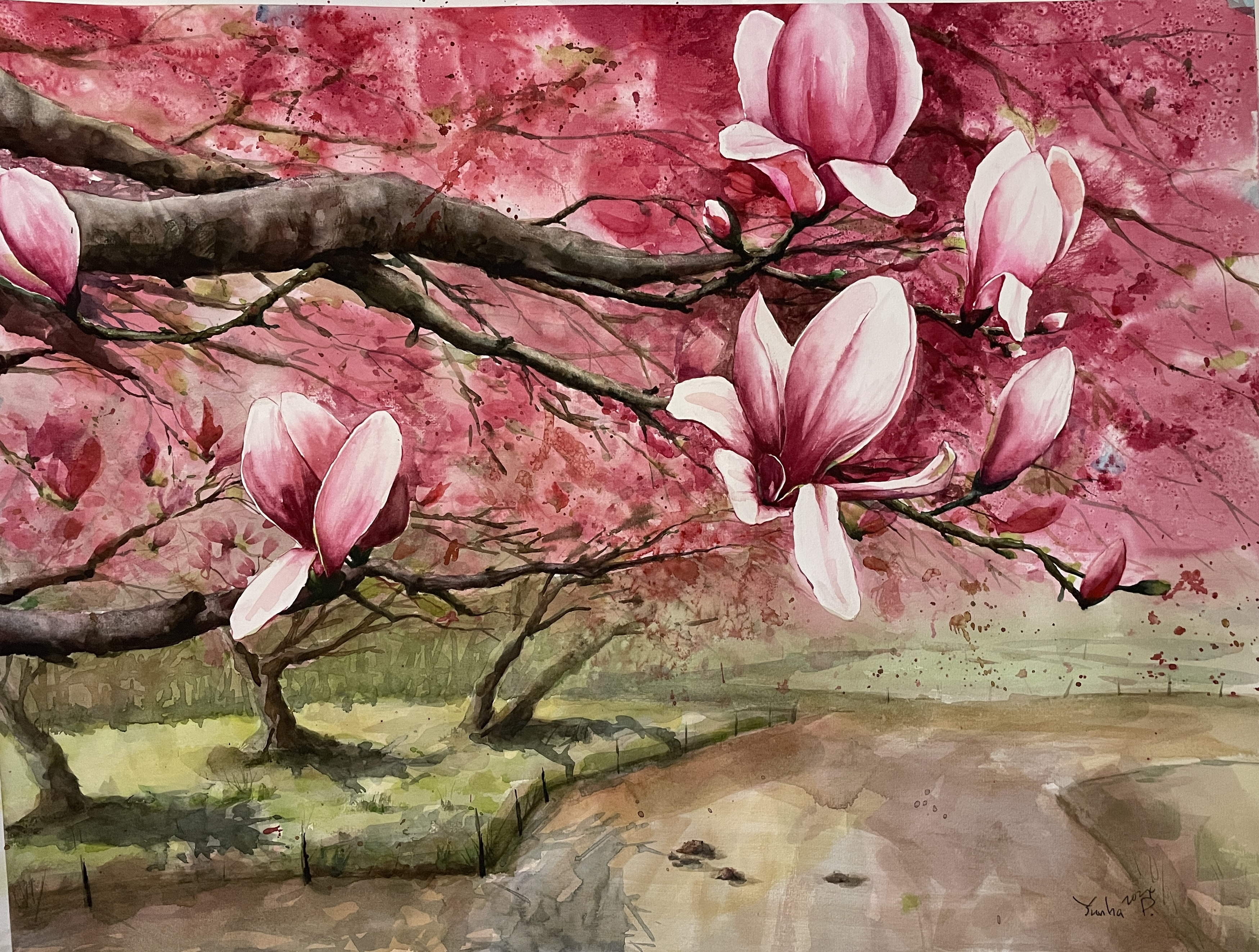 Magnolia Blossom Painting