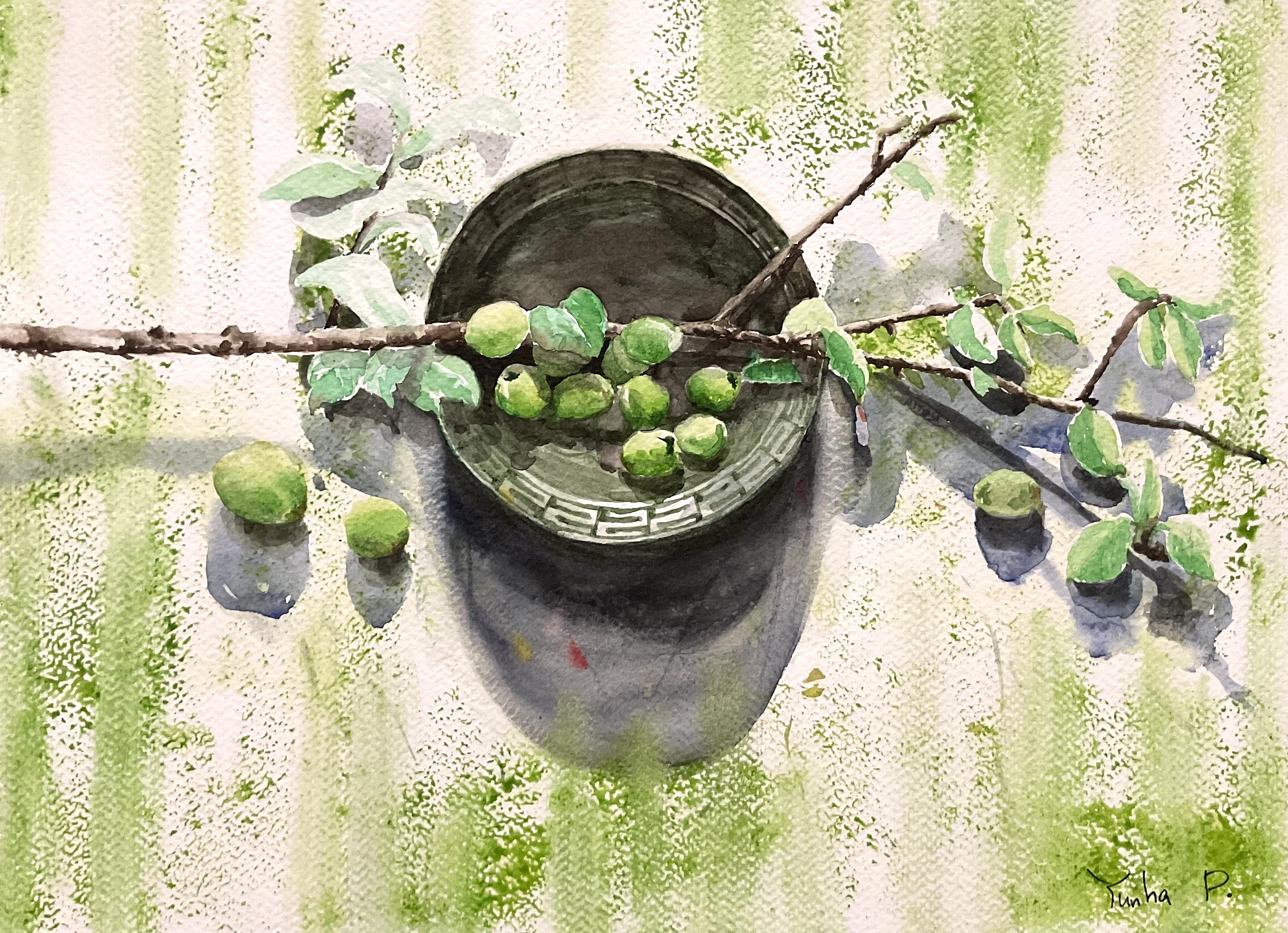Fresh Green Plums in Ceramic Bowl