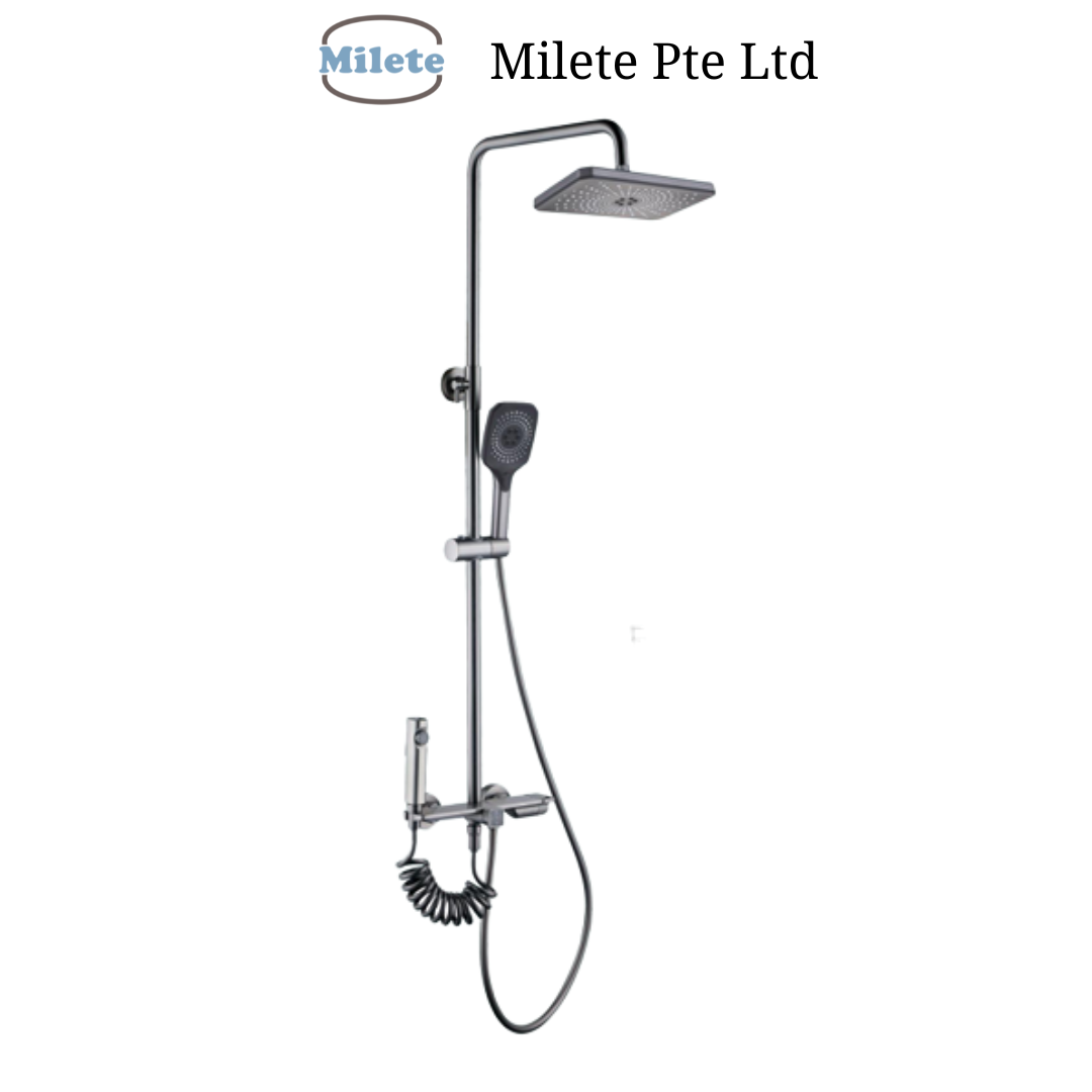 4 in 1 Shower Mixer