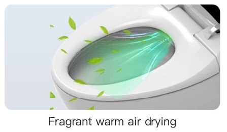 Y1 Smart Toilet