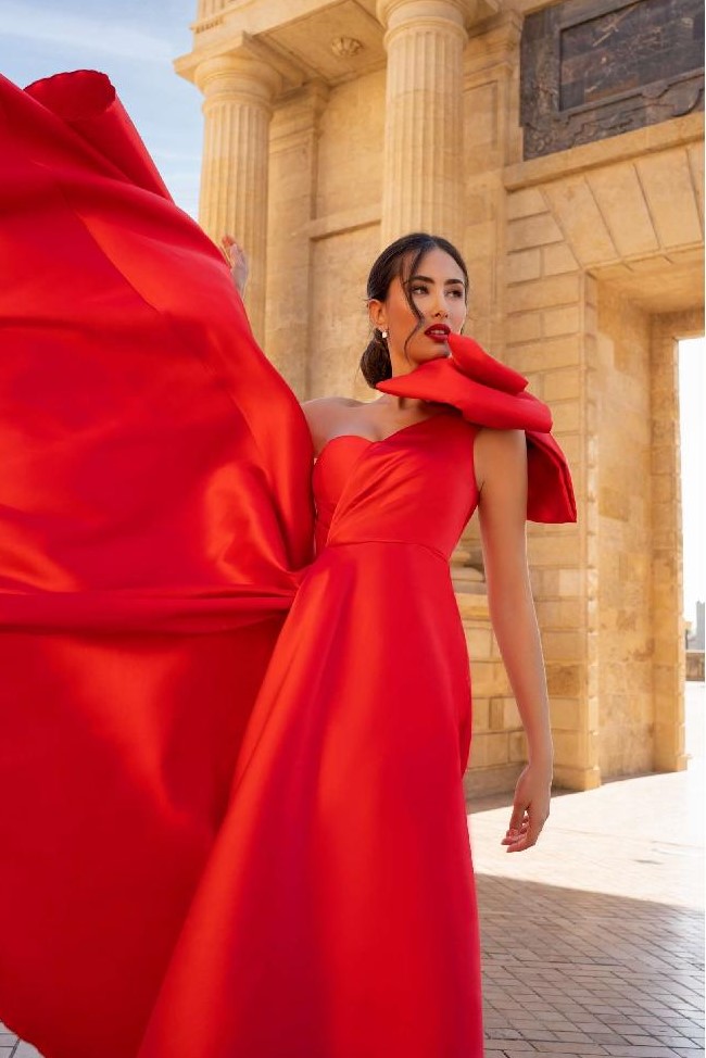 Vestido Silvia Navarro