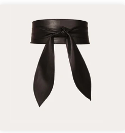 Fashionable Waist Belt For Women | GENICX