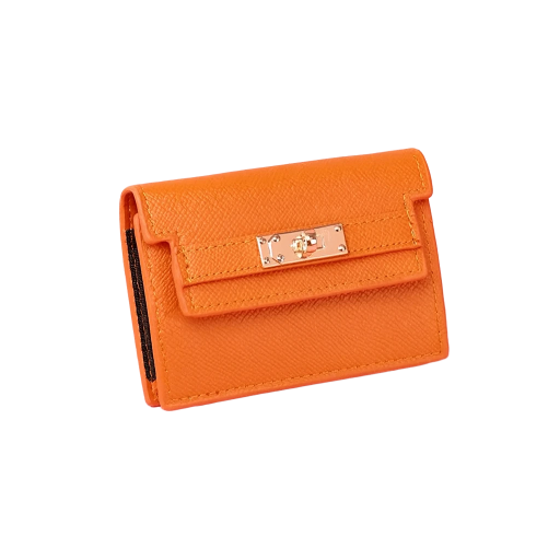Accordion Card Holder Wallet | GENICX
