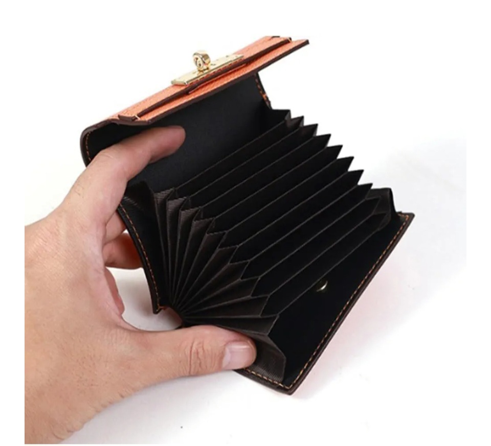 Accordion Card Holder Wallet | GENICX