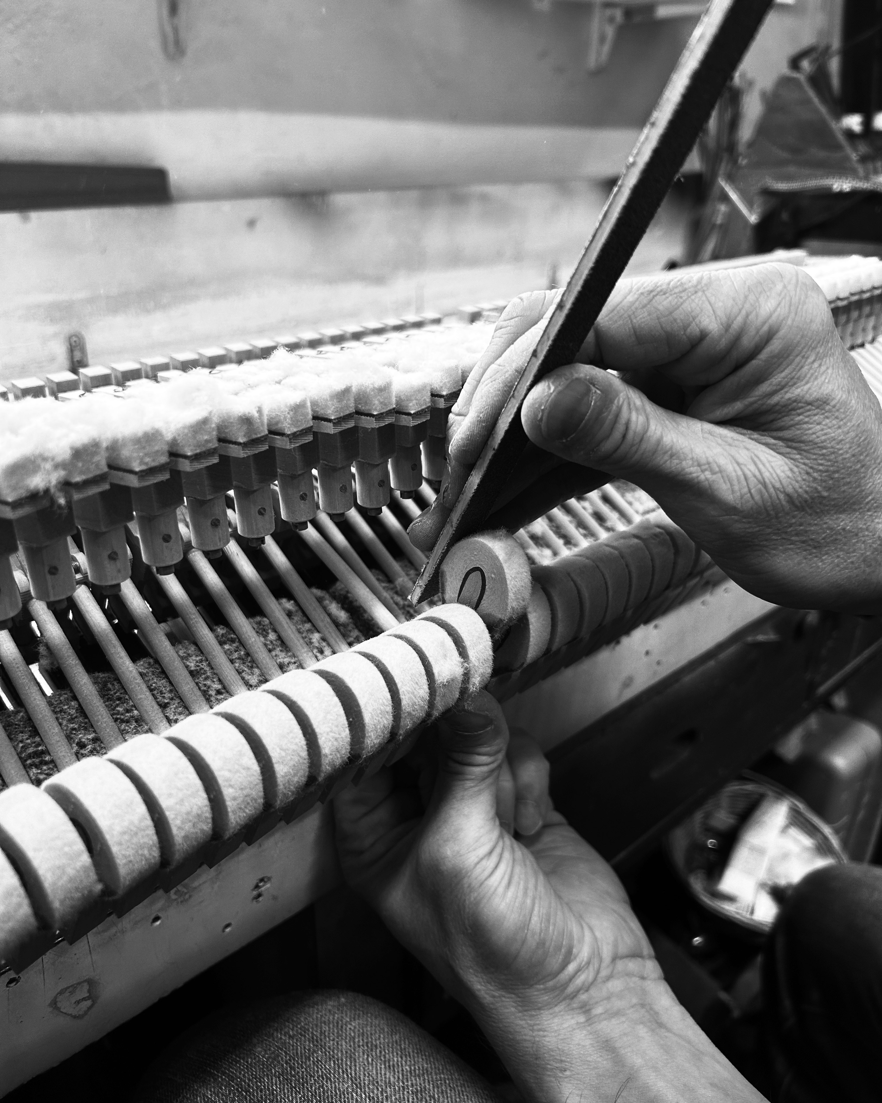 HARMONISATION 