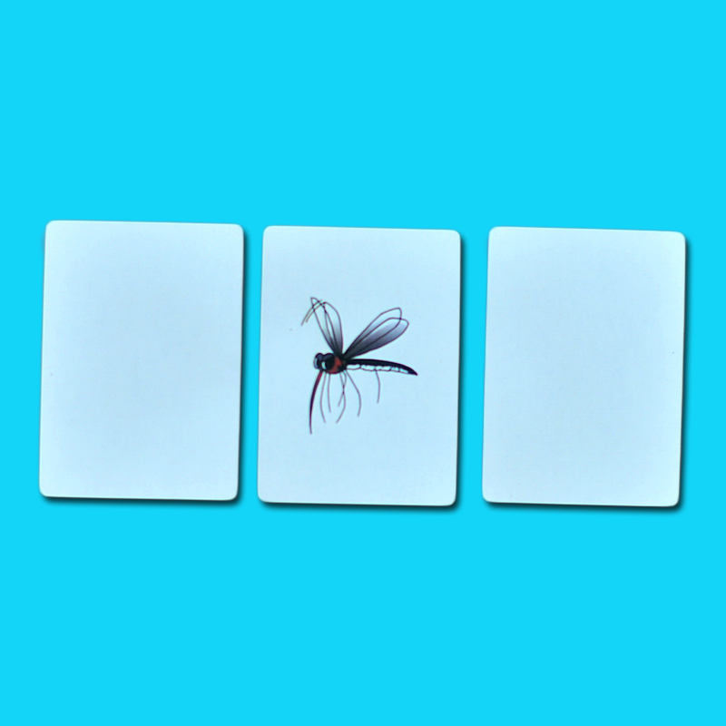 Mosquito Monte