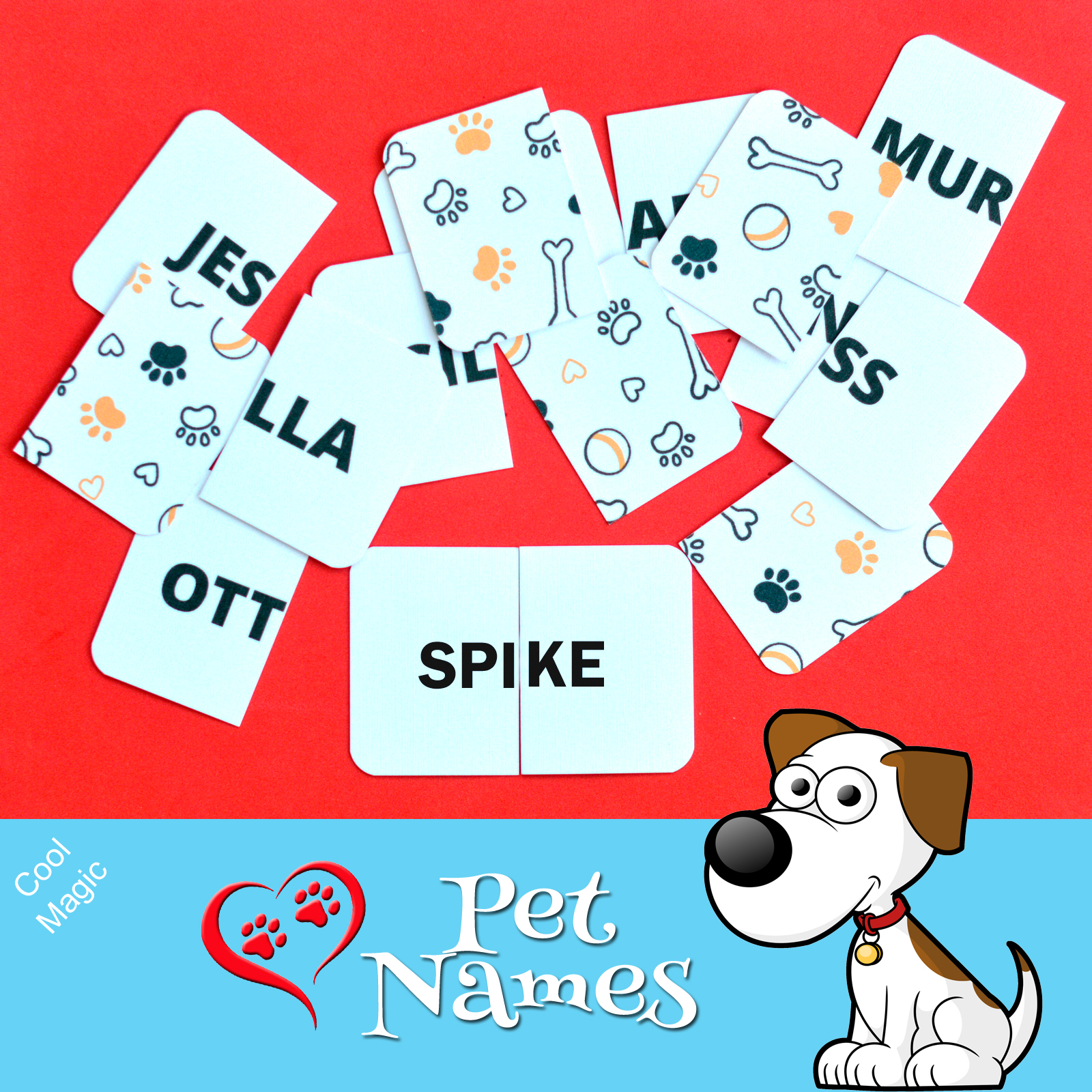 Pet Names