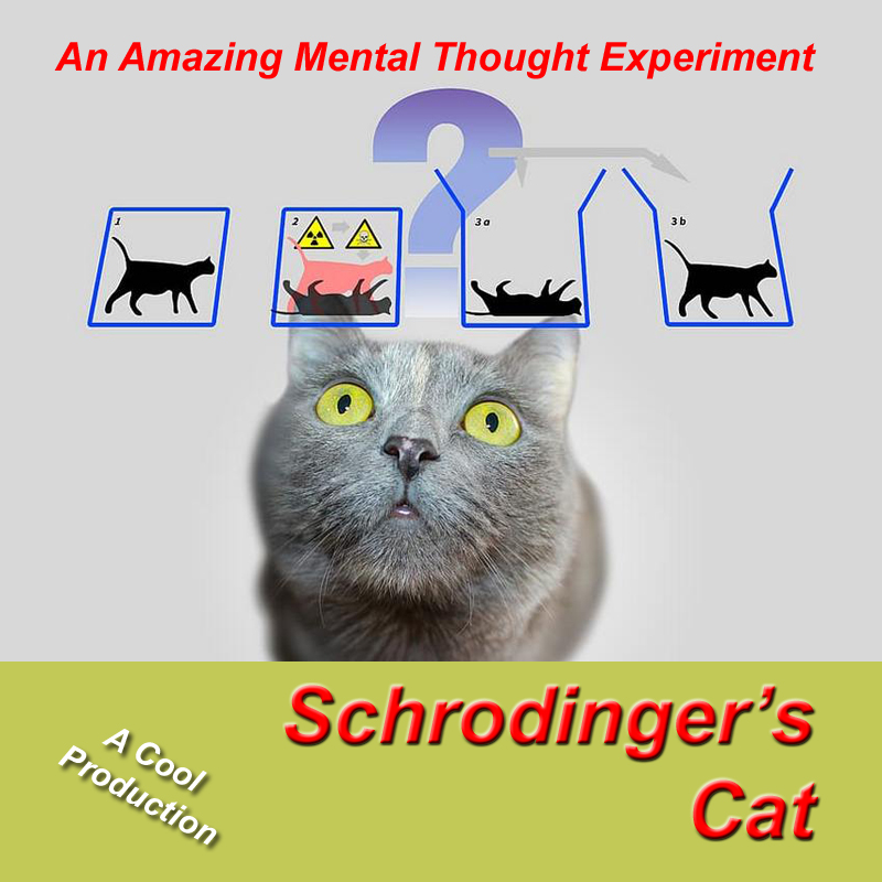 Schrodinger's Cat