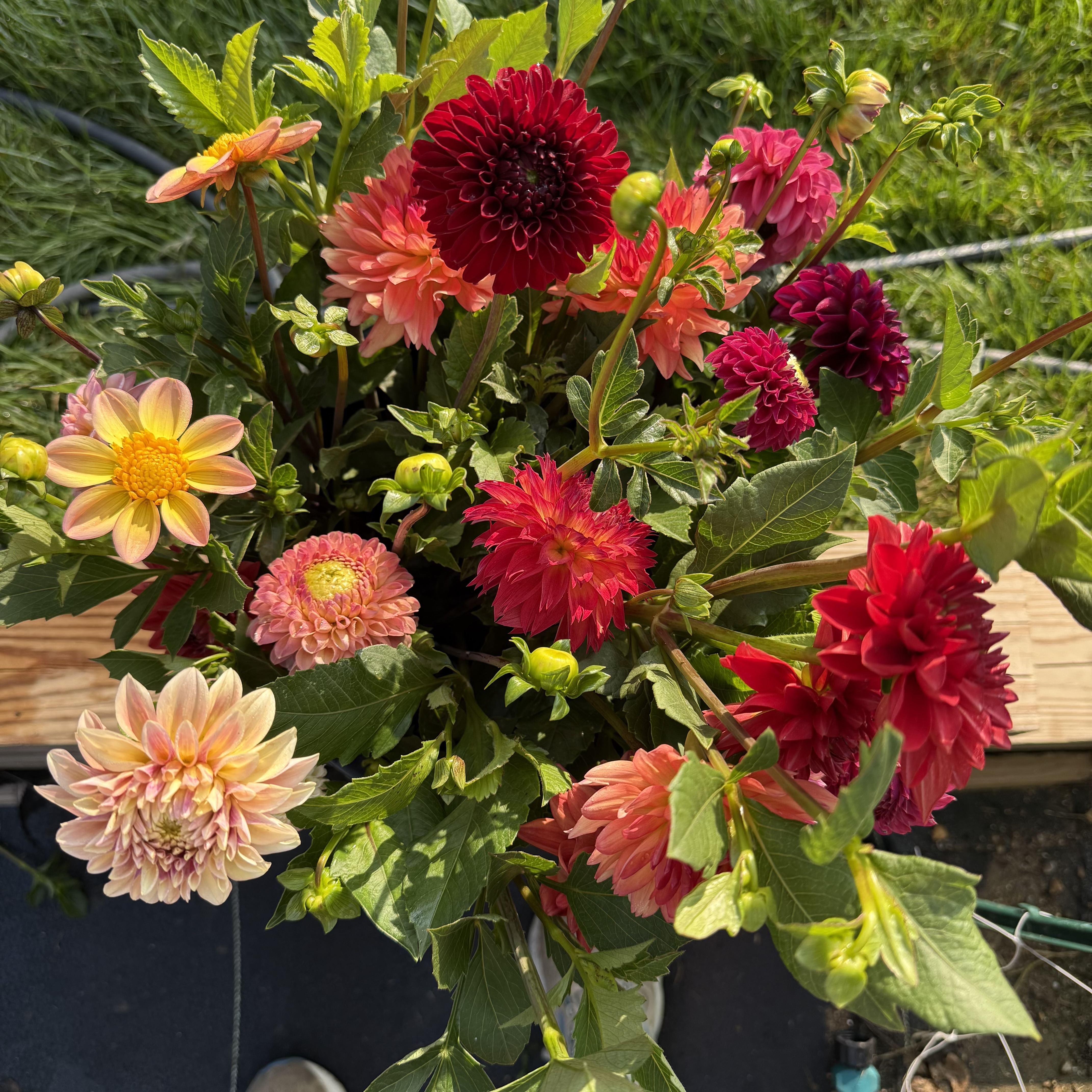 The Garden Bouquet Kit