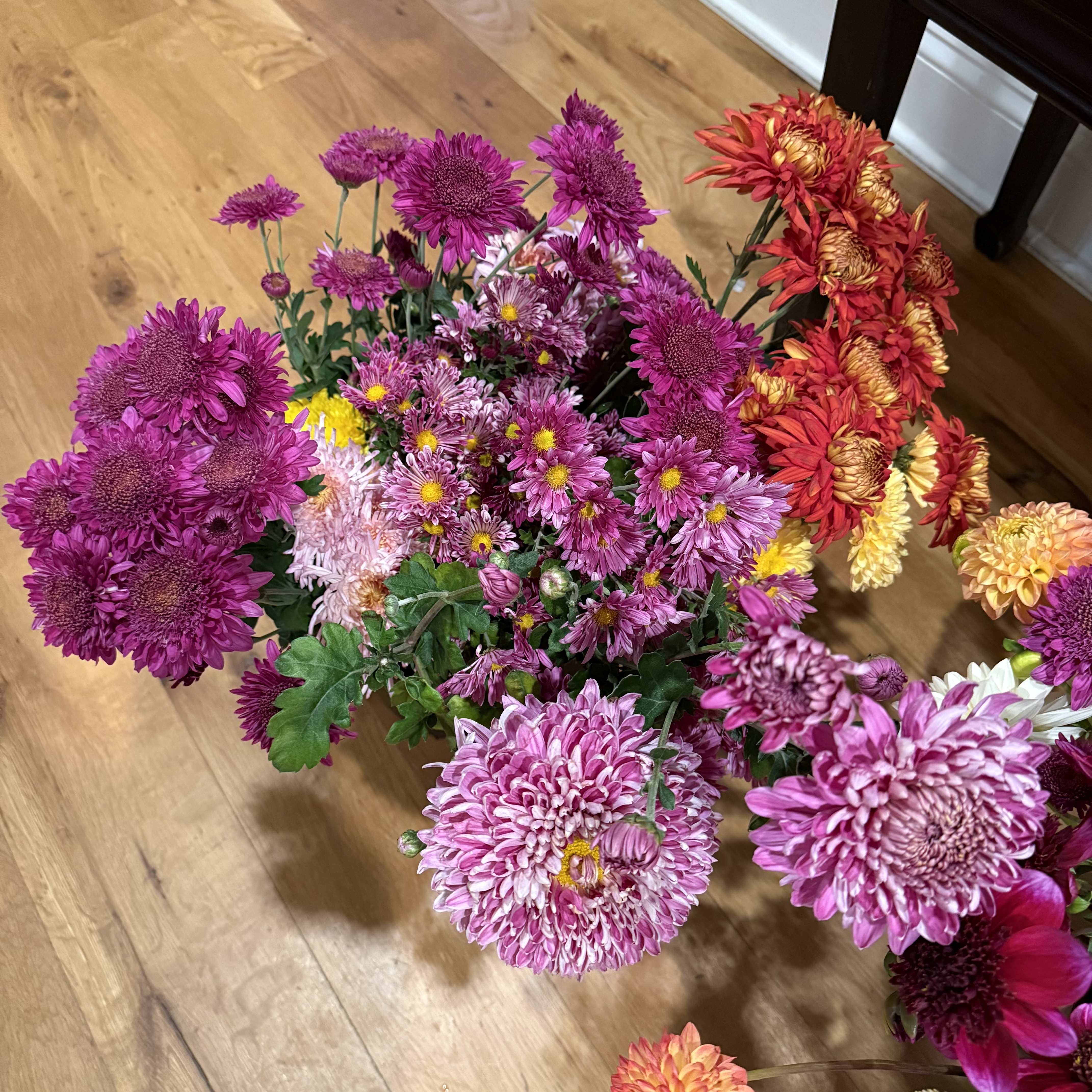 Full Chrysanthamum collections