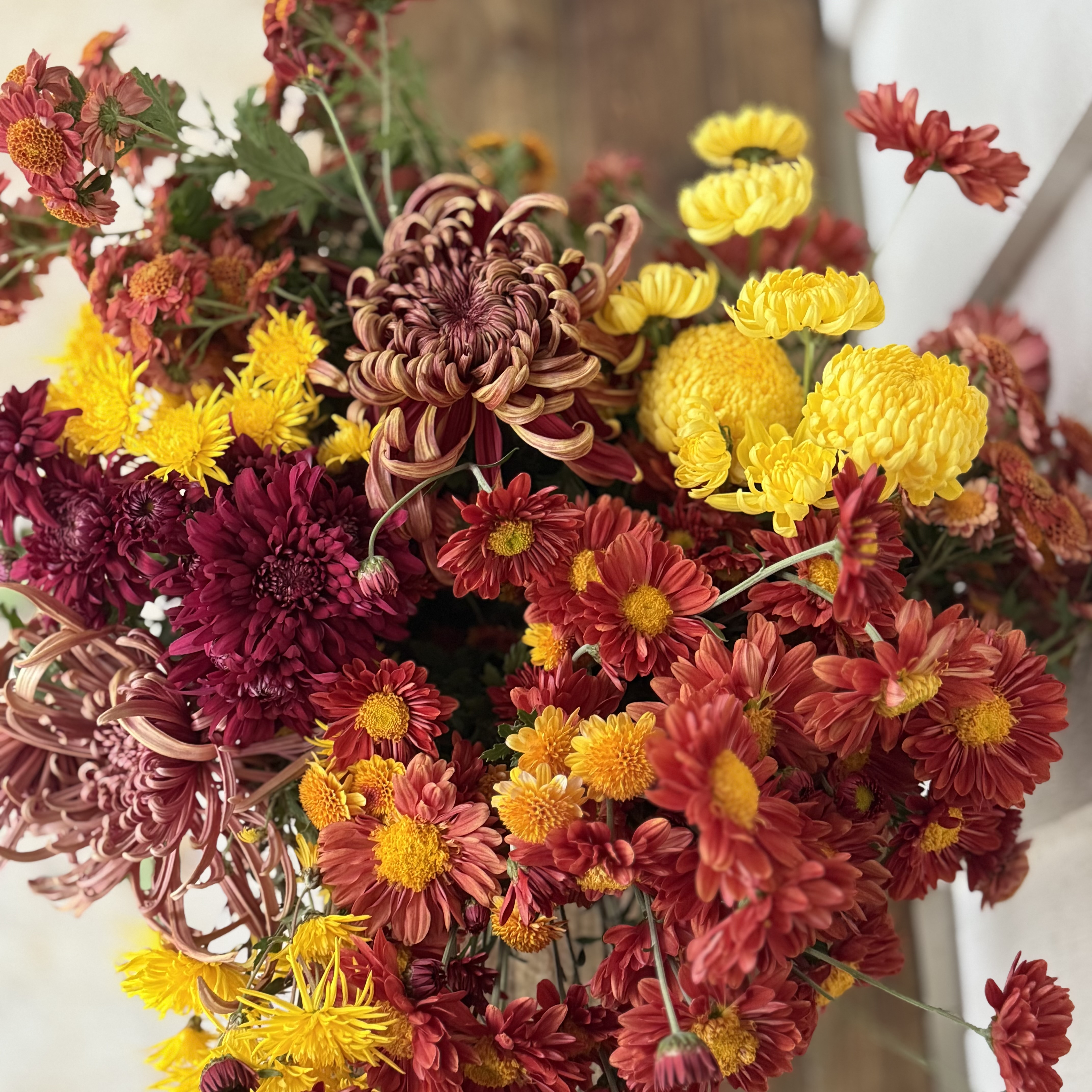 Full Chrysanthamum collections