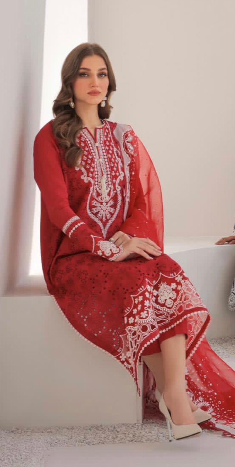 Elegant Red Embroidered Dress