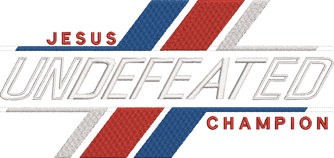 Undefeated Champion Embroidery Hoodie