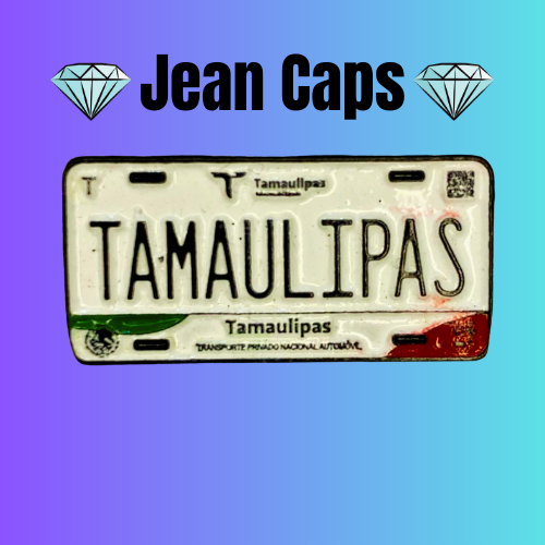 Placa de Tamaulipas