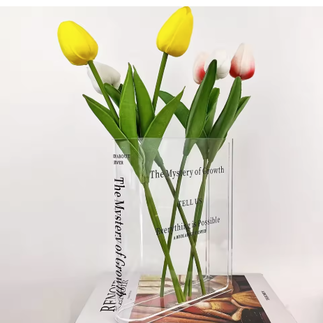 Modern Transparent Vase