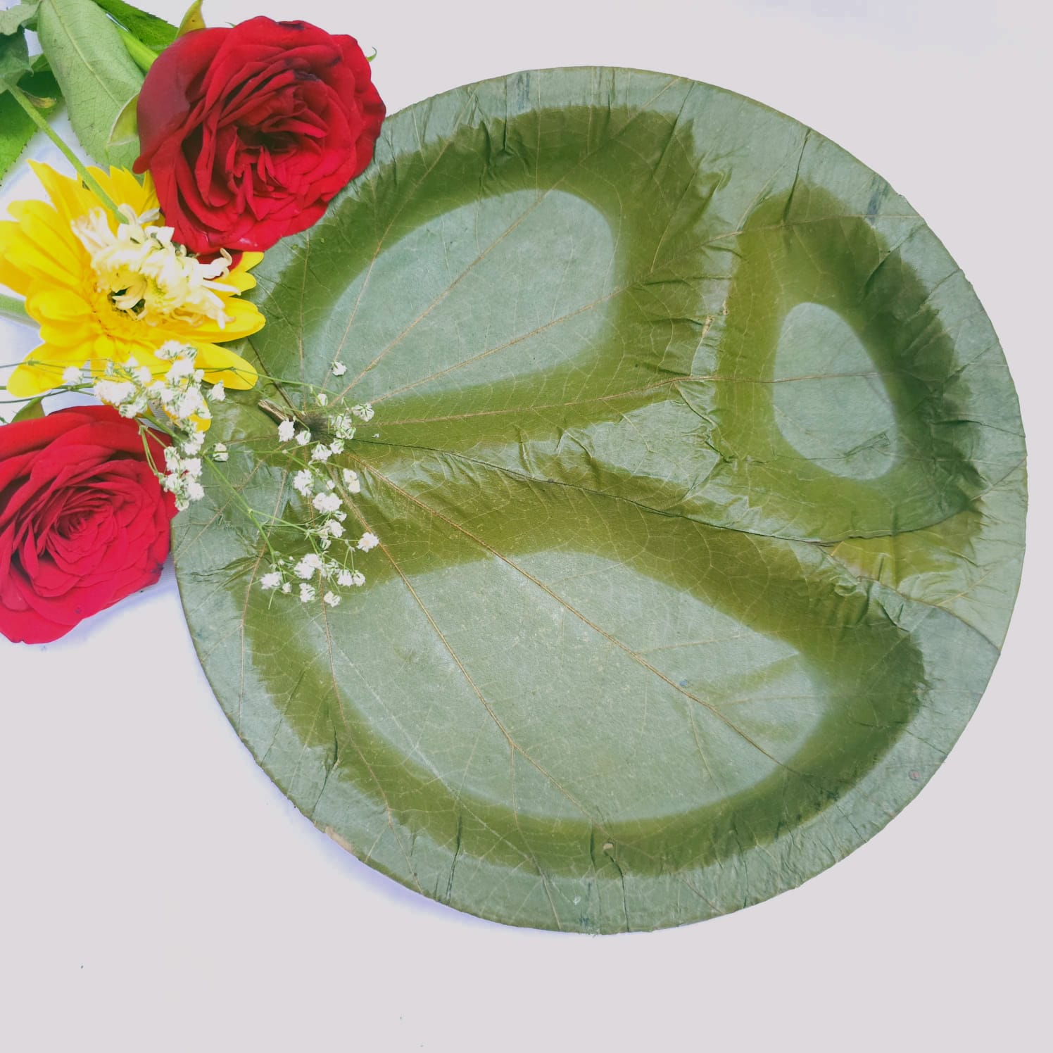 Sugat 8.5" compartment plates