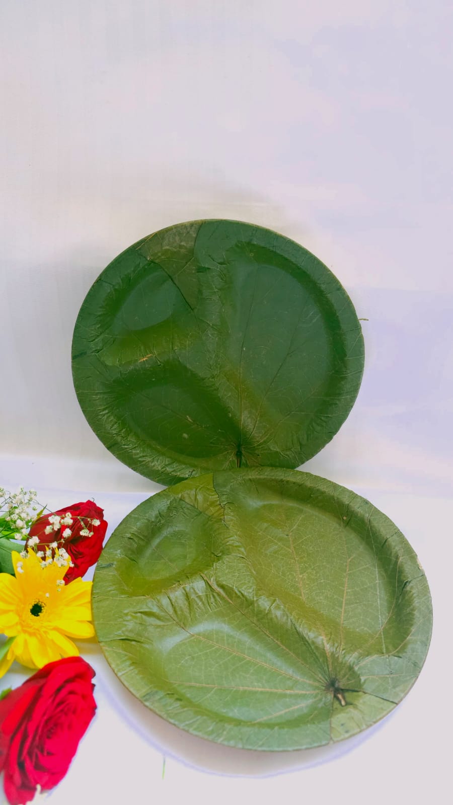 Sugat 8.5" compartment plates