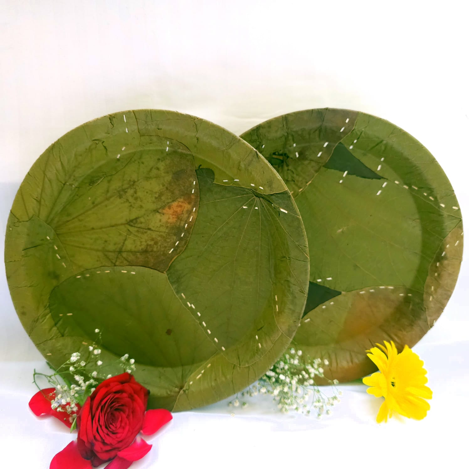 Sugat 11" Dinner plate