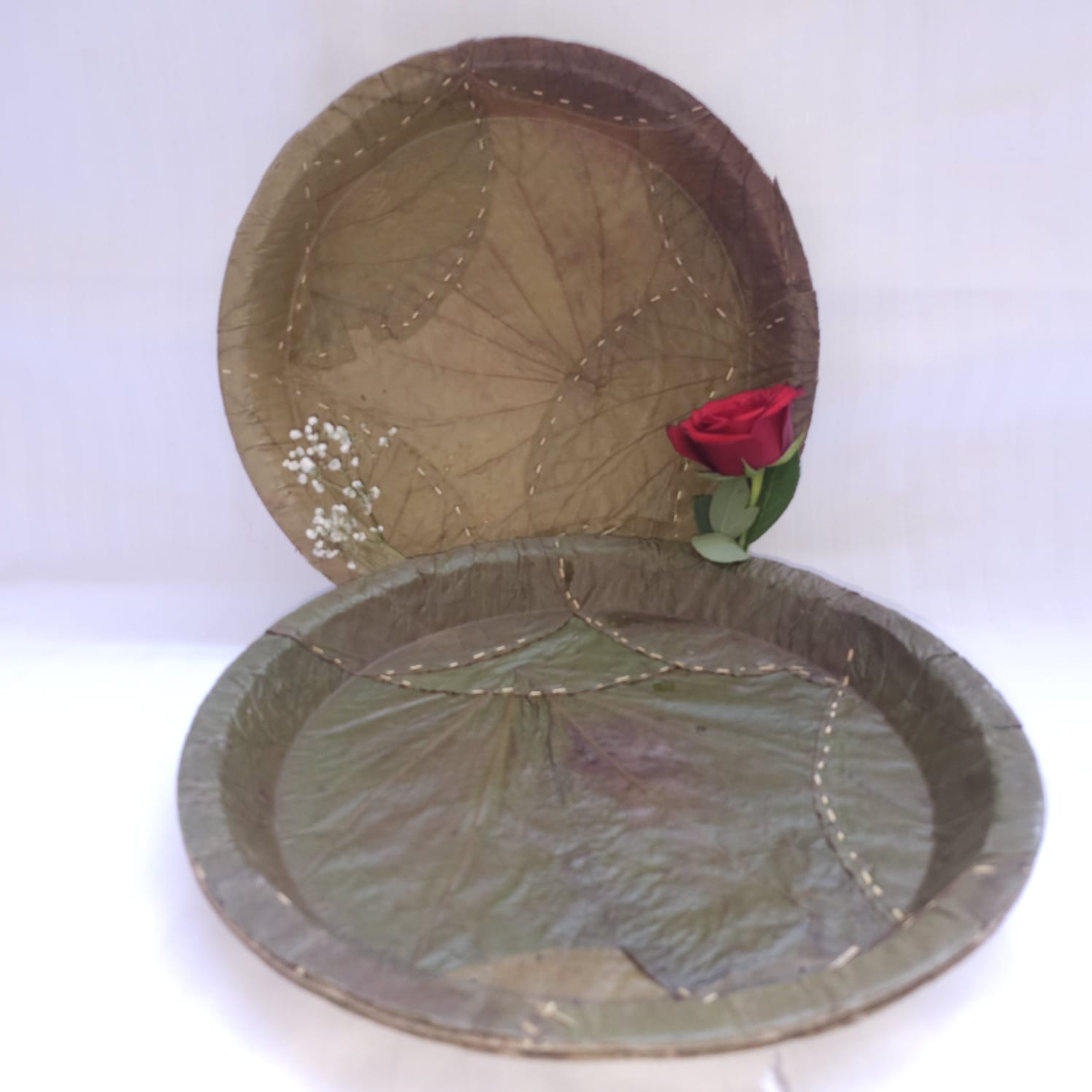 Sugat 12 " Dinner plate