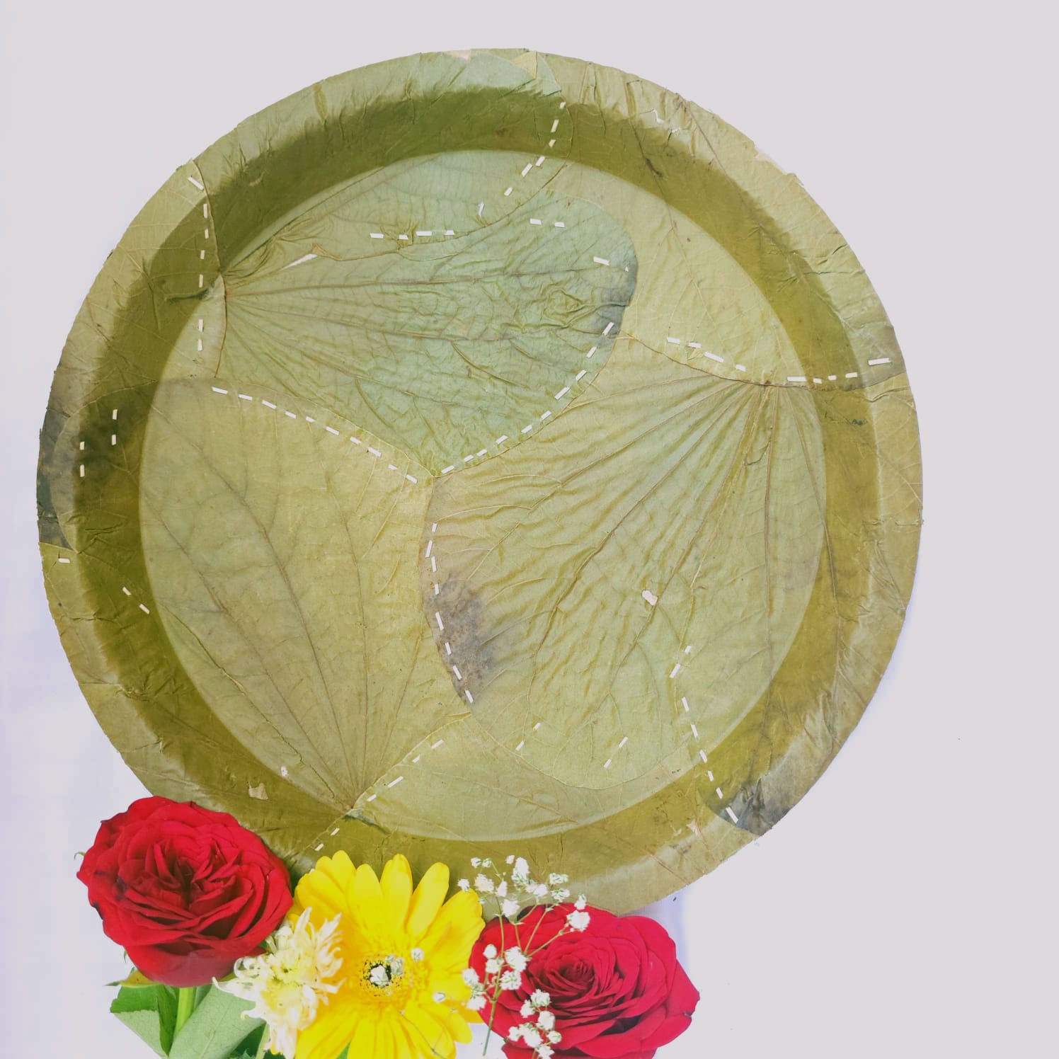 Sugat 12 " Dinner plate