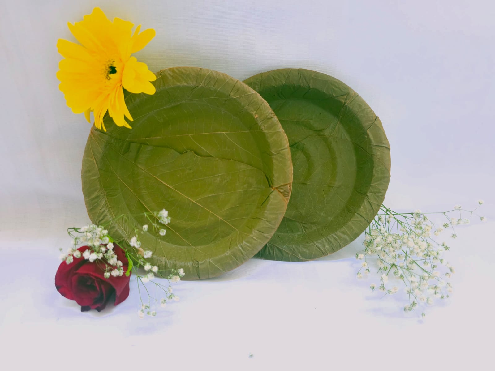 Sugat 6"  Soup bowls