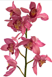 PAKET „VERÄNDERUNG“