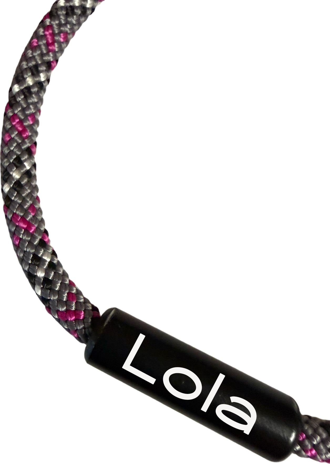 🐾 Urban Spark – Limited Edition