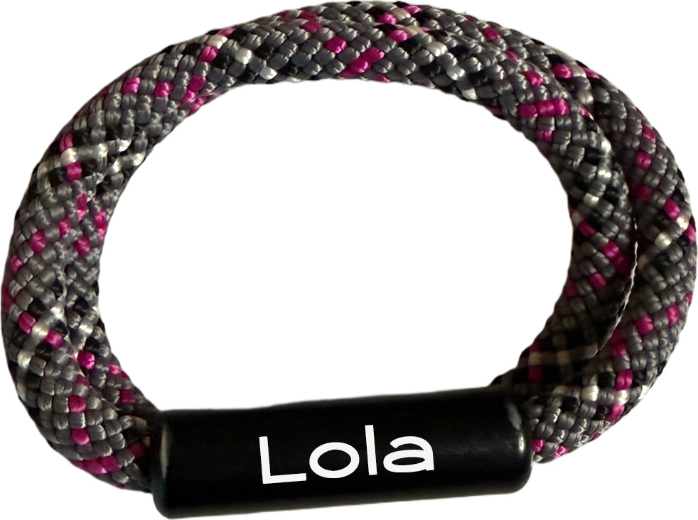 🐾 Urban Spark – Limited Edition