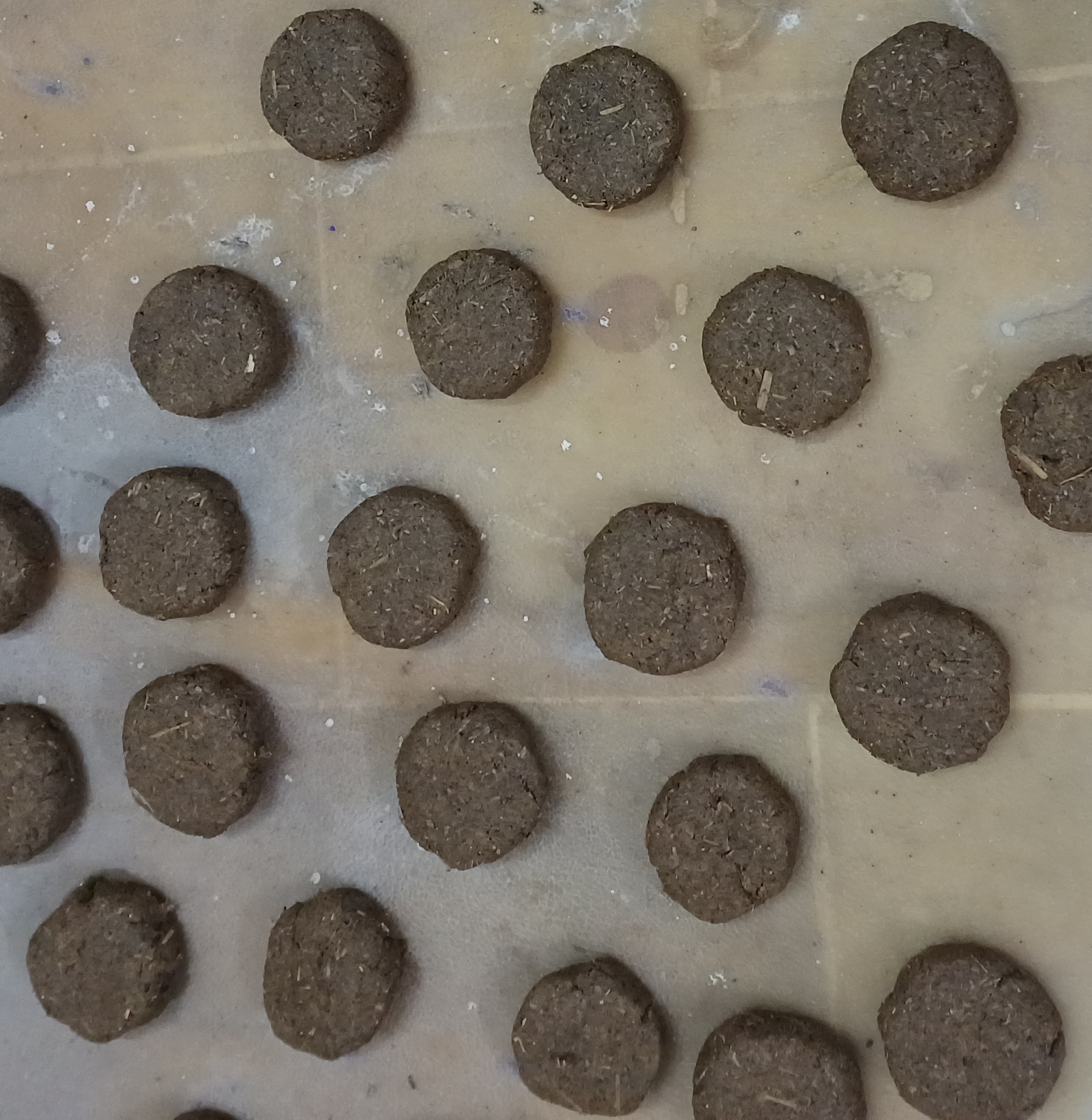 Cow Dung Dhoop Tikki (10pc )(गोबर की धूप टिक्की) With Ayurvedic ingredients.