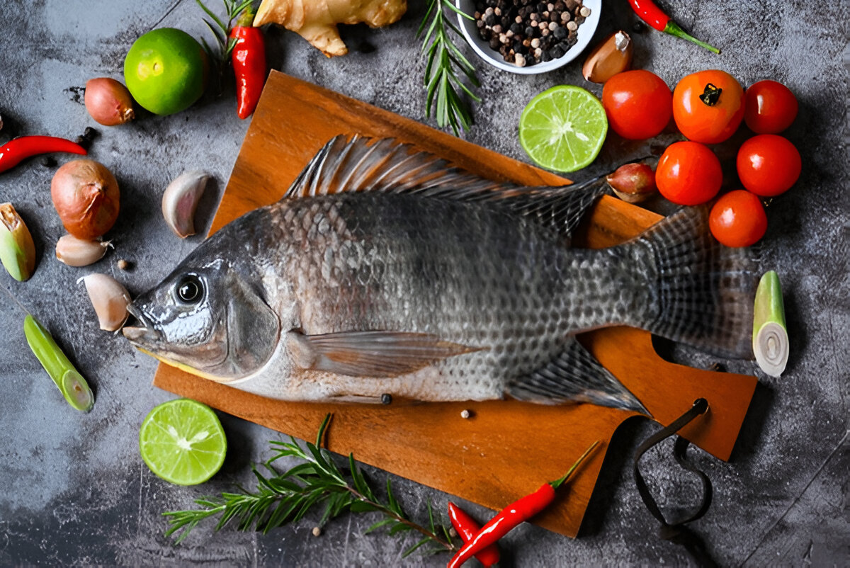 Tilapia | തിലോപ്പിയ