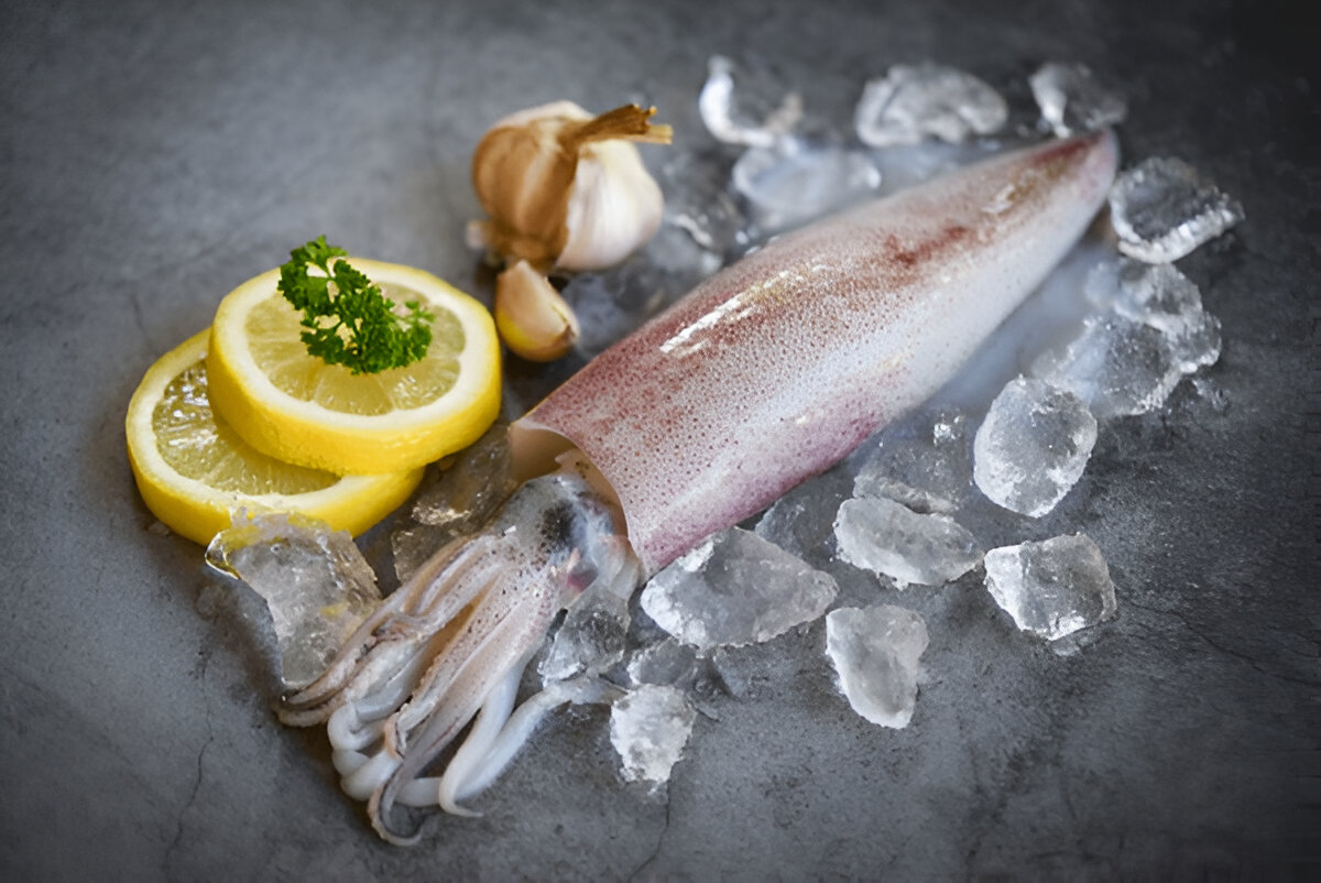 Squid | കൂന്തൽ
