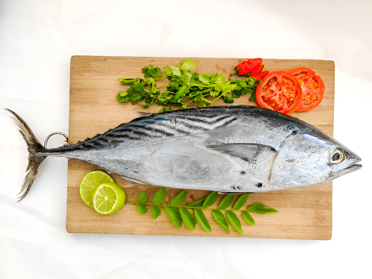 Tuna | ചൂര | Choora