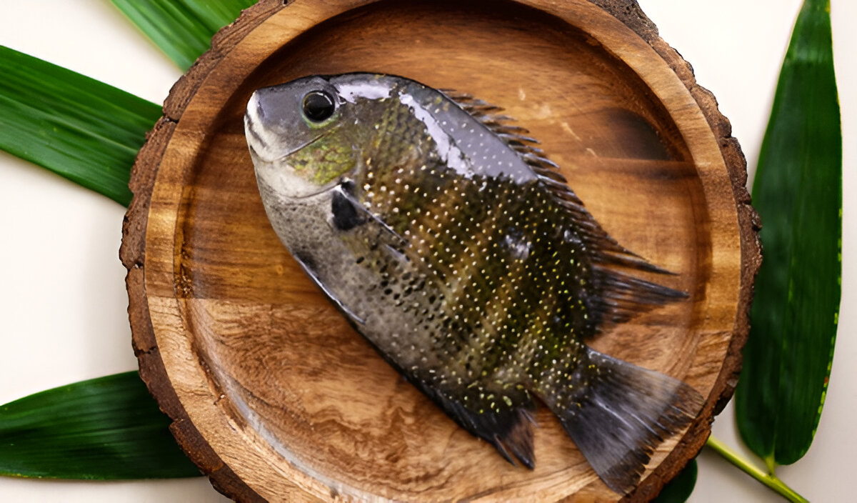 Pearl Spot | കരിമീൻ | Karimeen