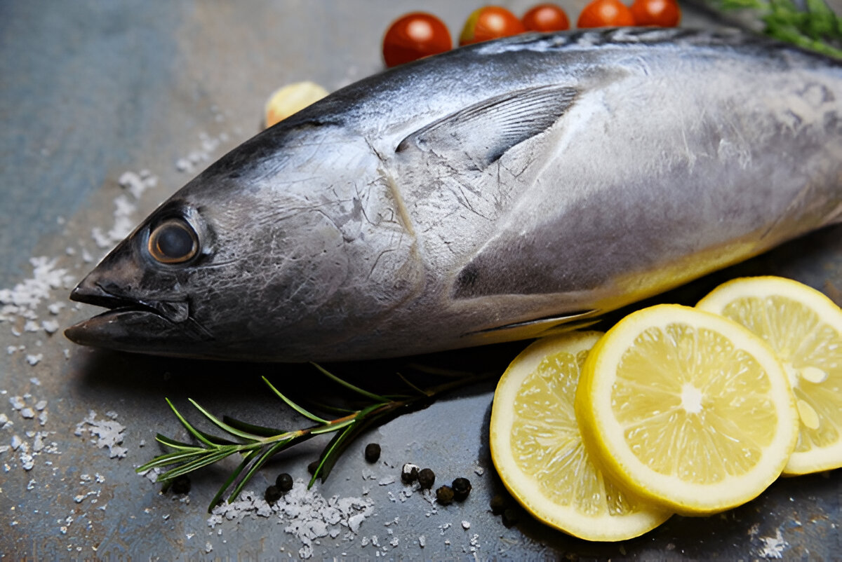 Tuna | ചൂര | Choora