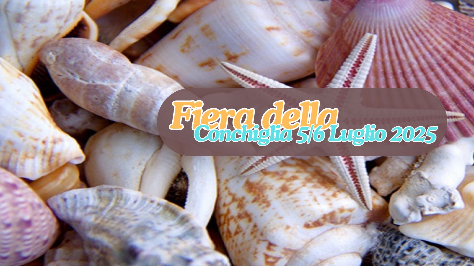 FESTA DELLA CONCHIGLIA 2025 San Mauro Mare 05/7 - 06/7