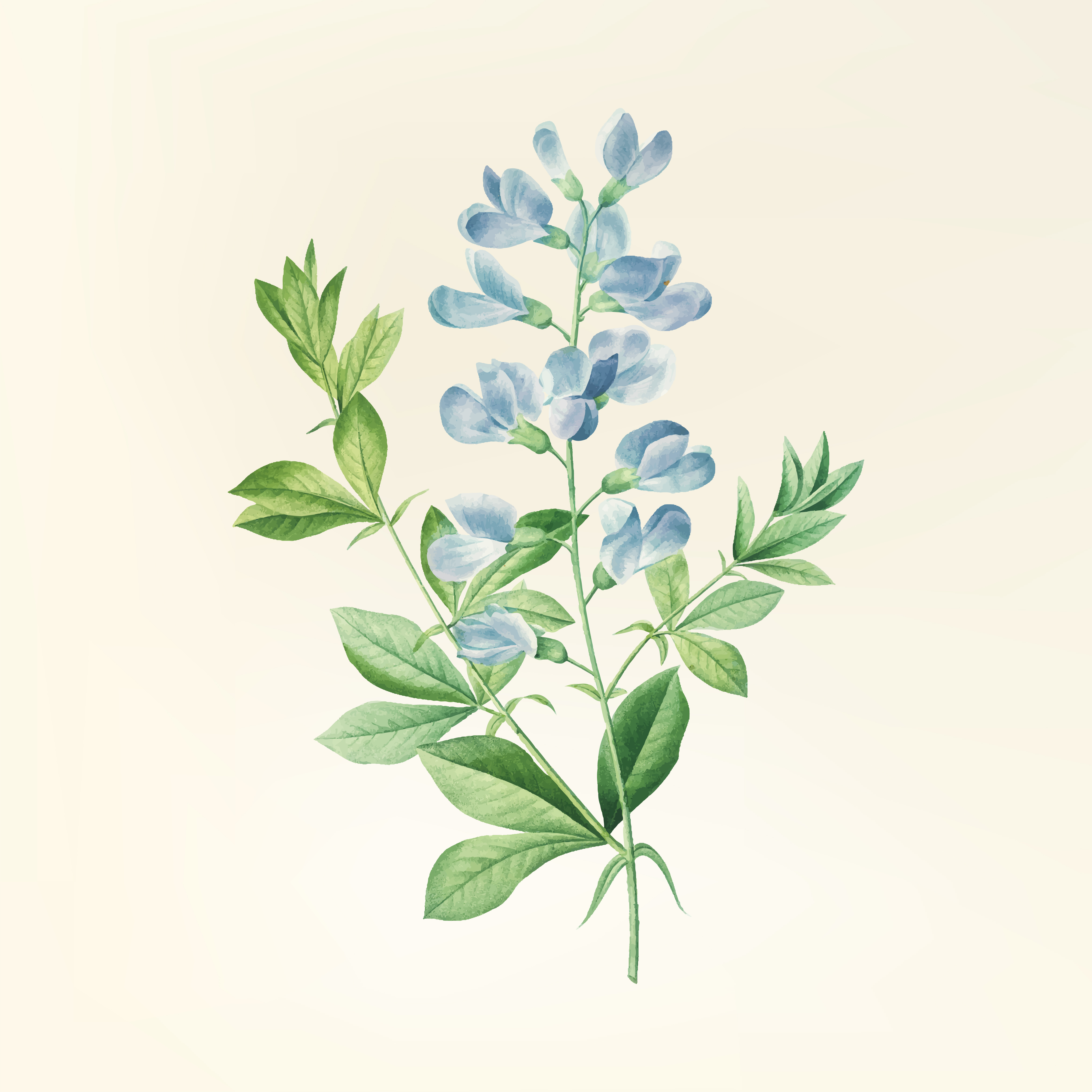 Séance de SOPHROLOGIE - ENFANT