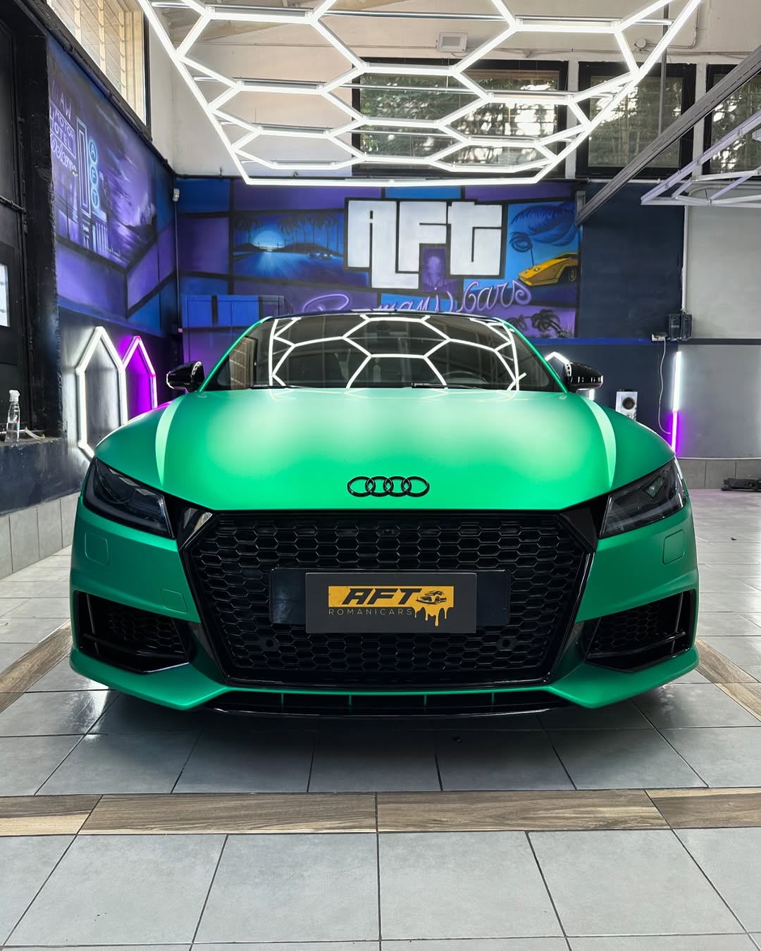GRIGLIA NIDO D'APE AUDI TT MK3